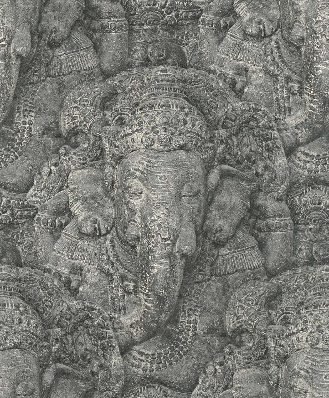 Rasch Vinyltapete 525502 Crispy Paper elefant grau 10,05 x 0,53 m Rasch Vinyltapete 525502 Crispy Paper elefant grau 10,05 x 0,53 m