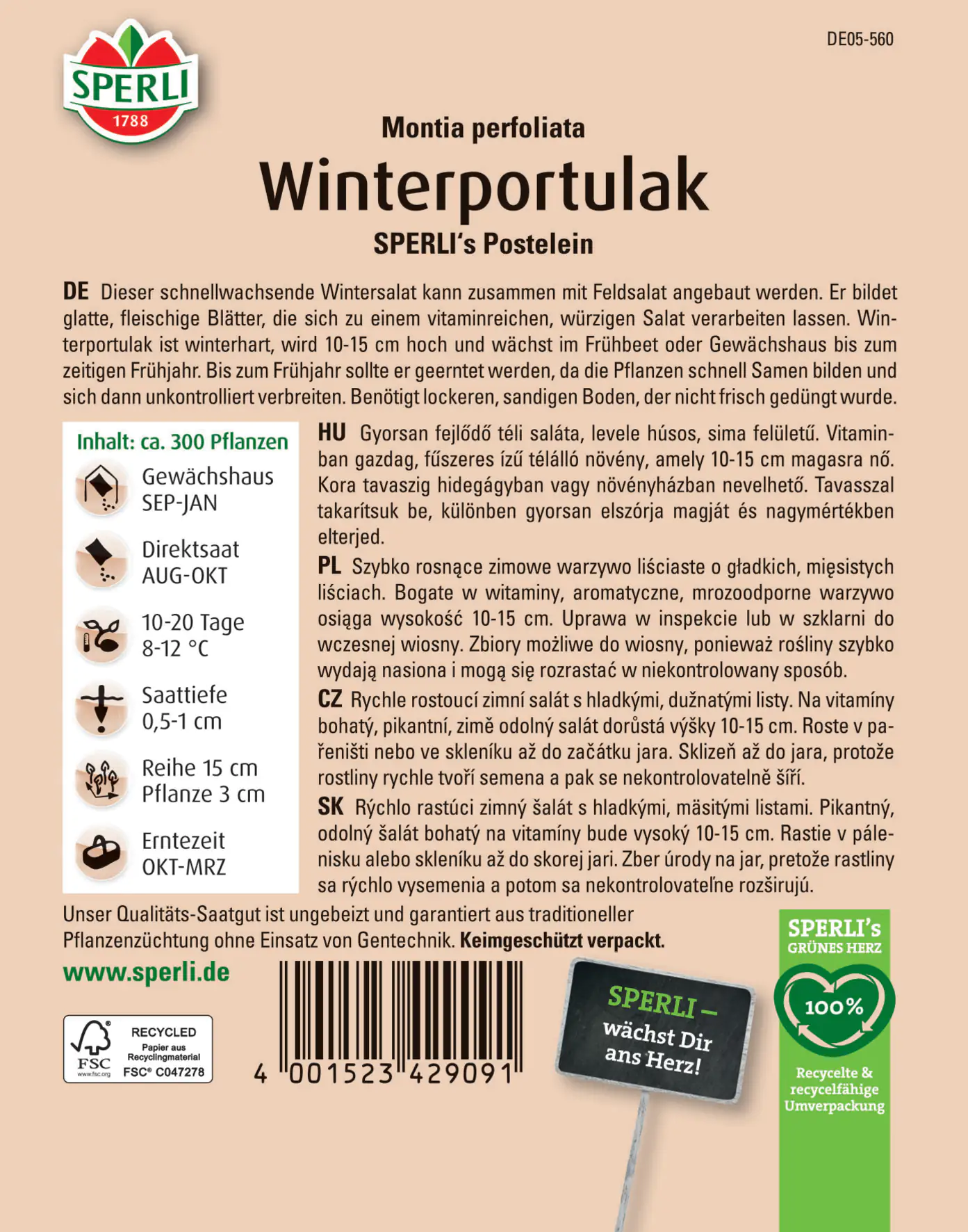 Sperli Winterportulak Sperli 's Postelein Sperli Winterportulak Sperli 's Postelein