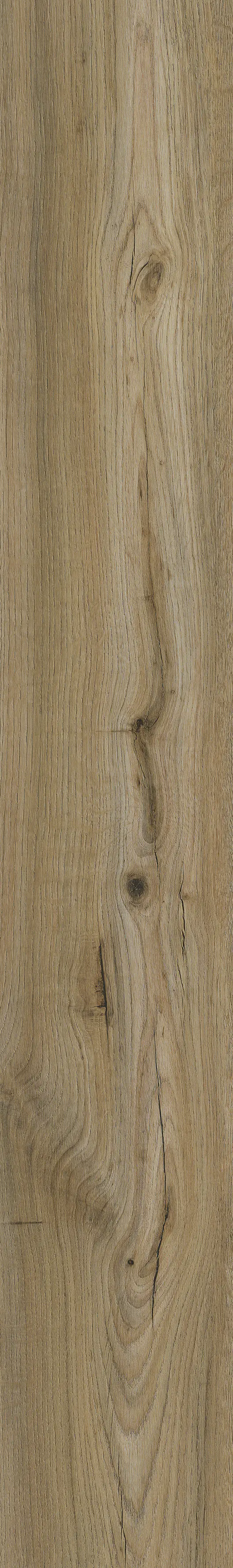 Amorim Corklife Vinylboden mit Trittschalldämmung Golden Rustic Oak