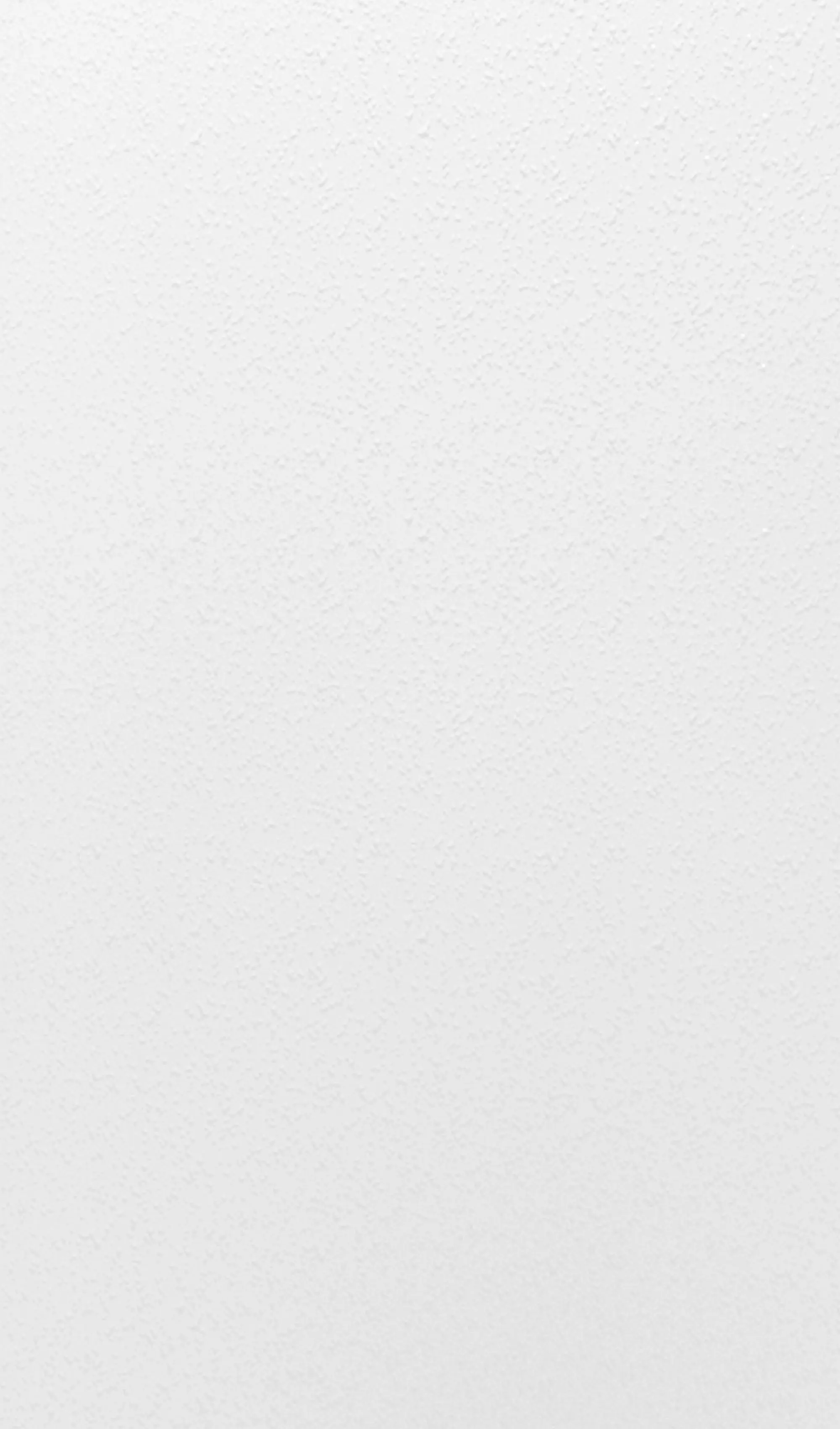 Schulte Duschrückwand DecoDesign Dekor 150 x 255 cm Stein weiß