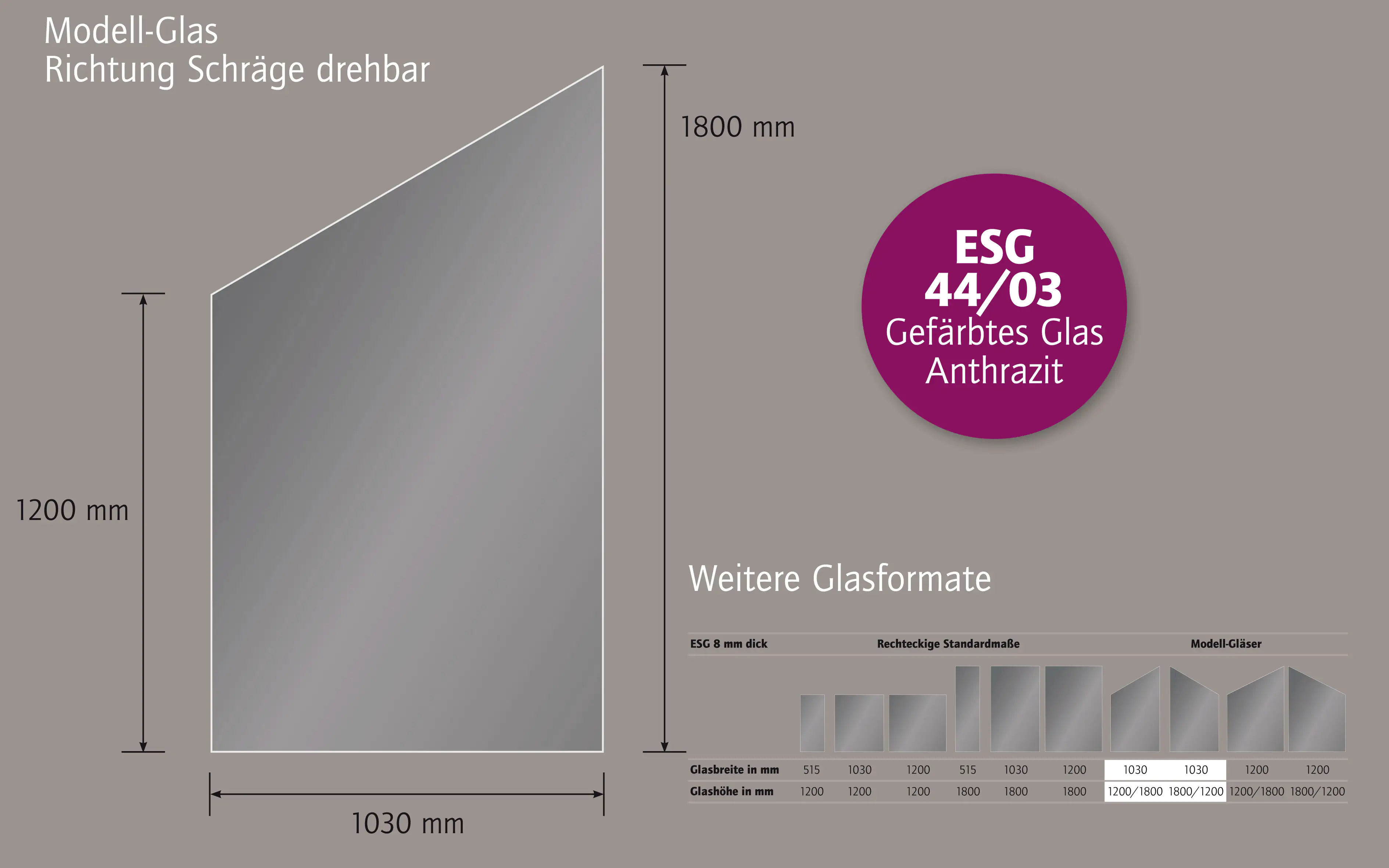 Ambiente Glaszaun Dekor 44/03 schräg 103 x 120/180 cm gehärtetes 8 mm Glas Ambiente Glaszaun Dekor 44/03 schräg 103 x 120/180 cm gehärtetes 8 mm Glas