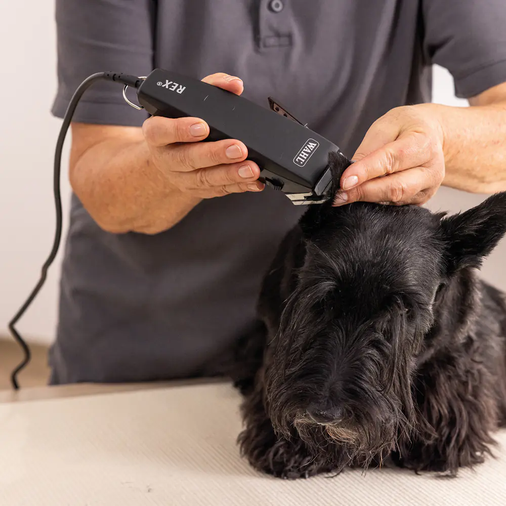 Nobby Wahl Schermaschinenset Rex 1230