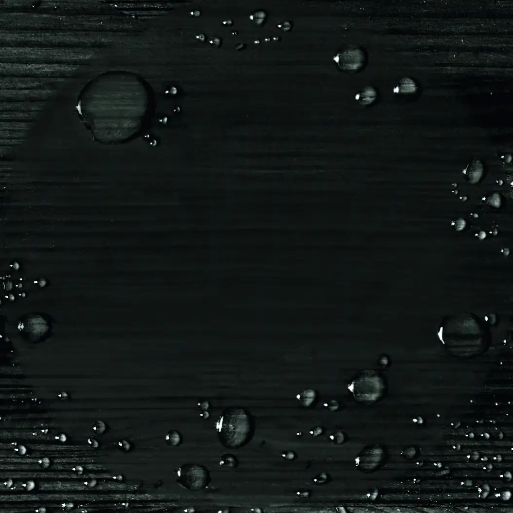 Alpina Wetterschutzfarbe deckend 0,75 L schwarz Alpina Wetterschutzfarbe deckend 0,75 L schwarz