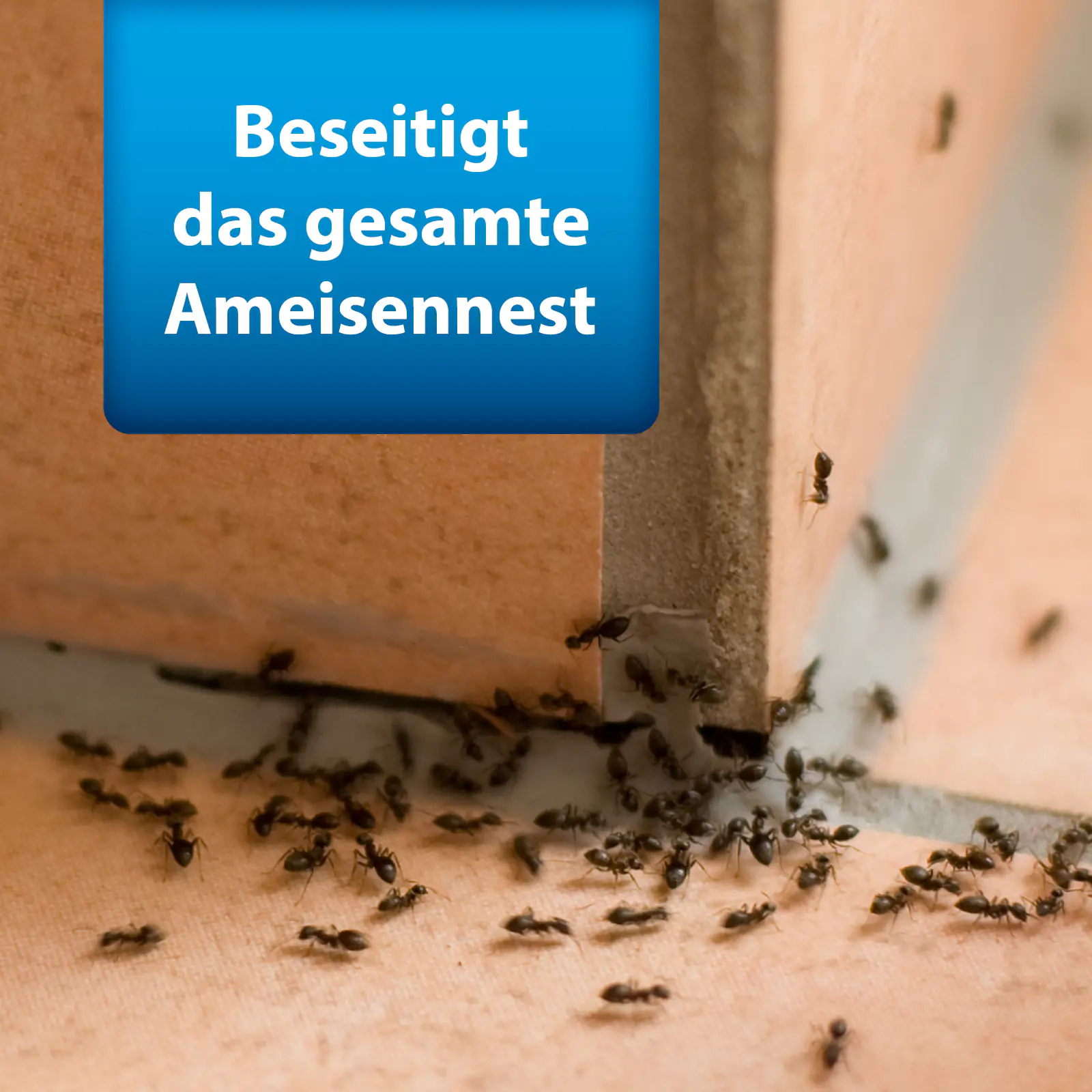 Ardap Pro Ameisen Streumittel  500 g