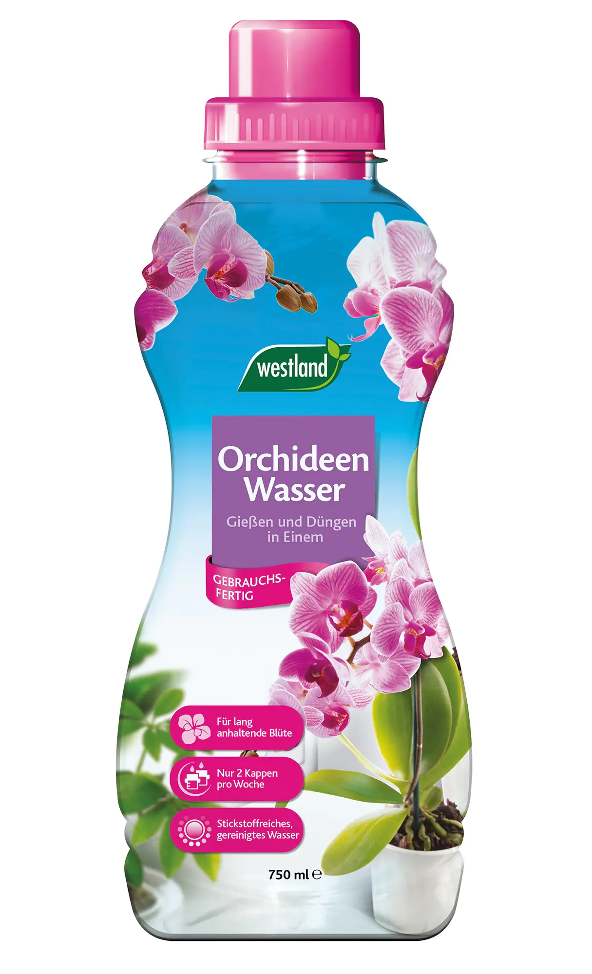 Westland Orchideen Wasser