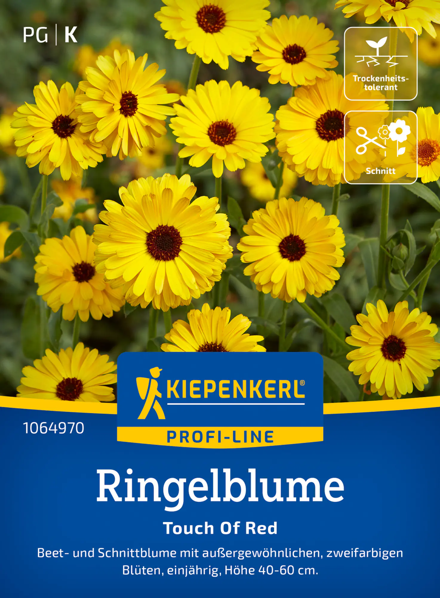 Kiepenkerl Profi-Line Blumensamen Ringelblumen Touch Of Red für ca. 80 Pflanzen