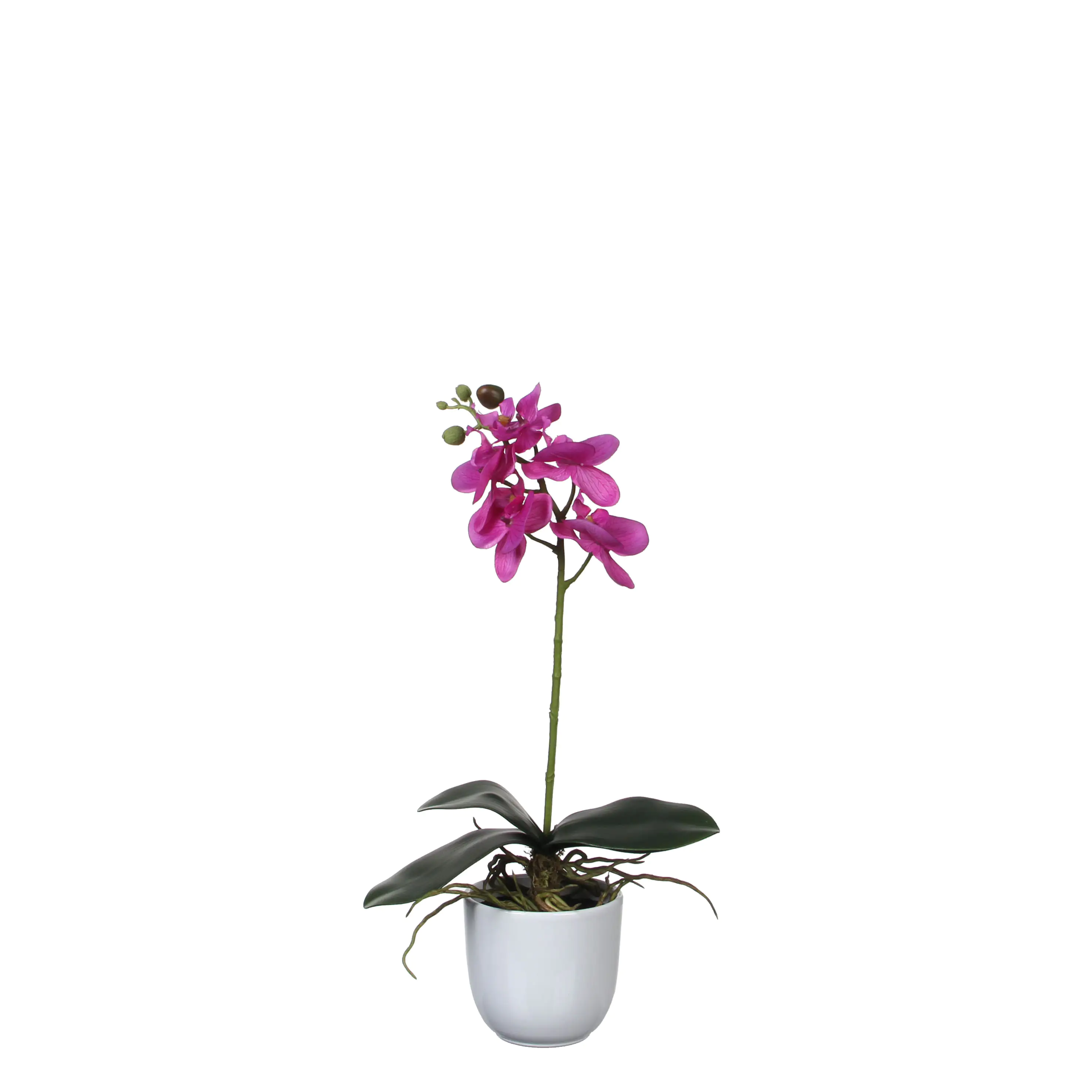 Mica Kunstpflanze Phalaenopsis im Topf violett, 48 x13 cm