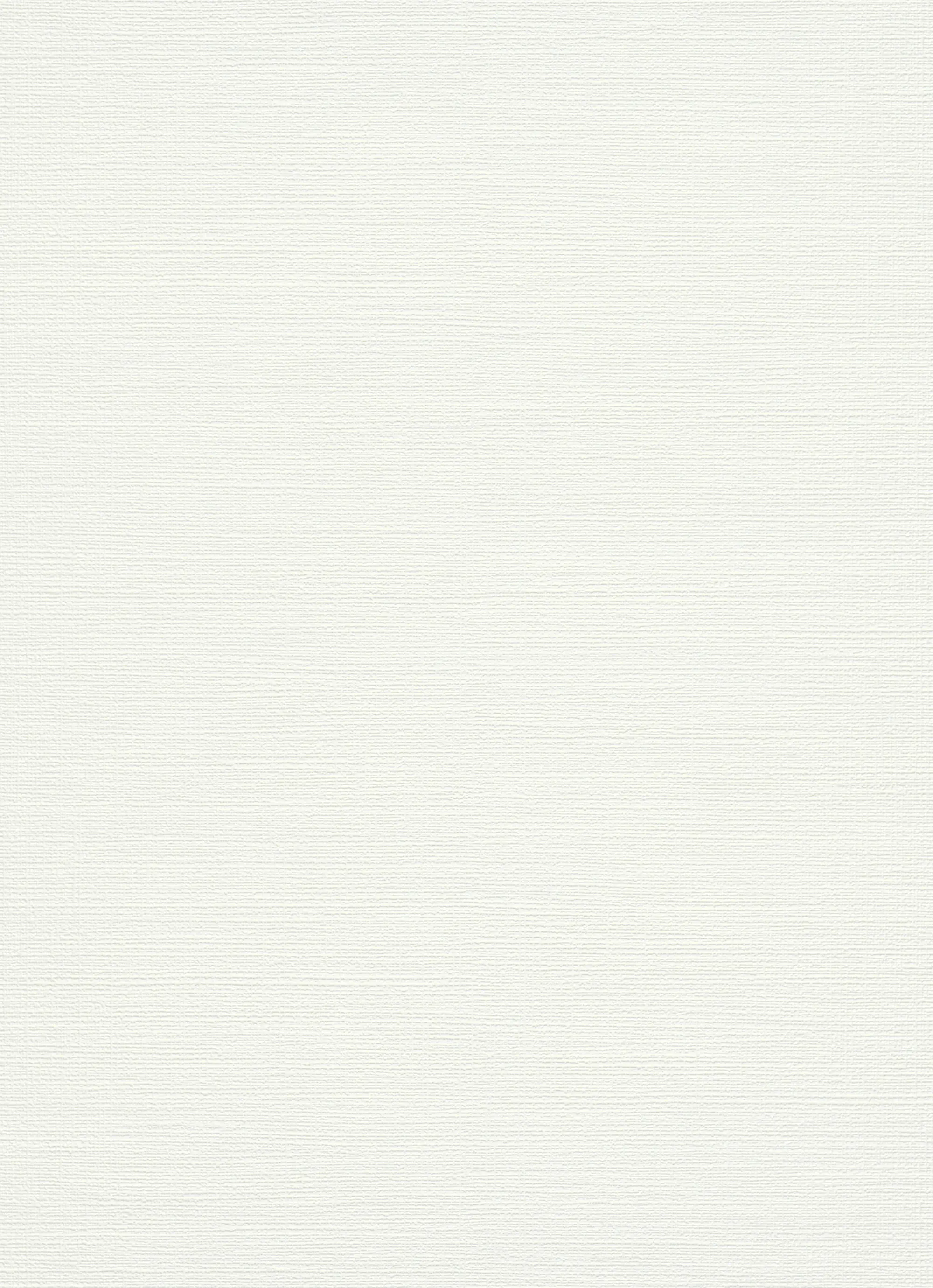 Erismann Vliestapete 13289-10 uni weiß 10,05 x 0,53 m