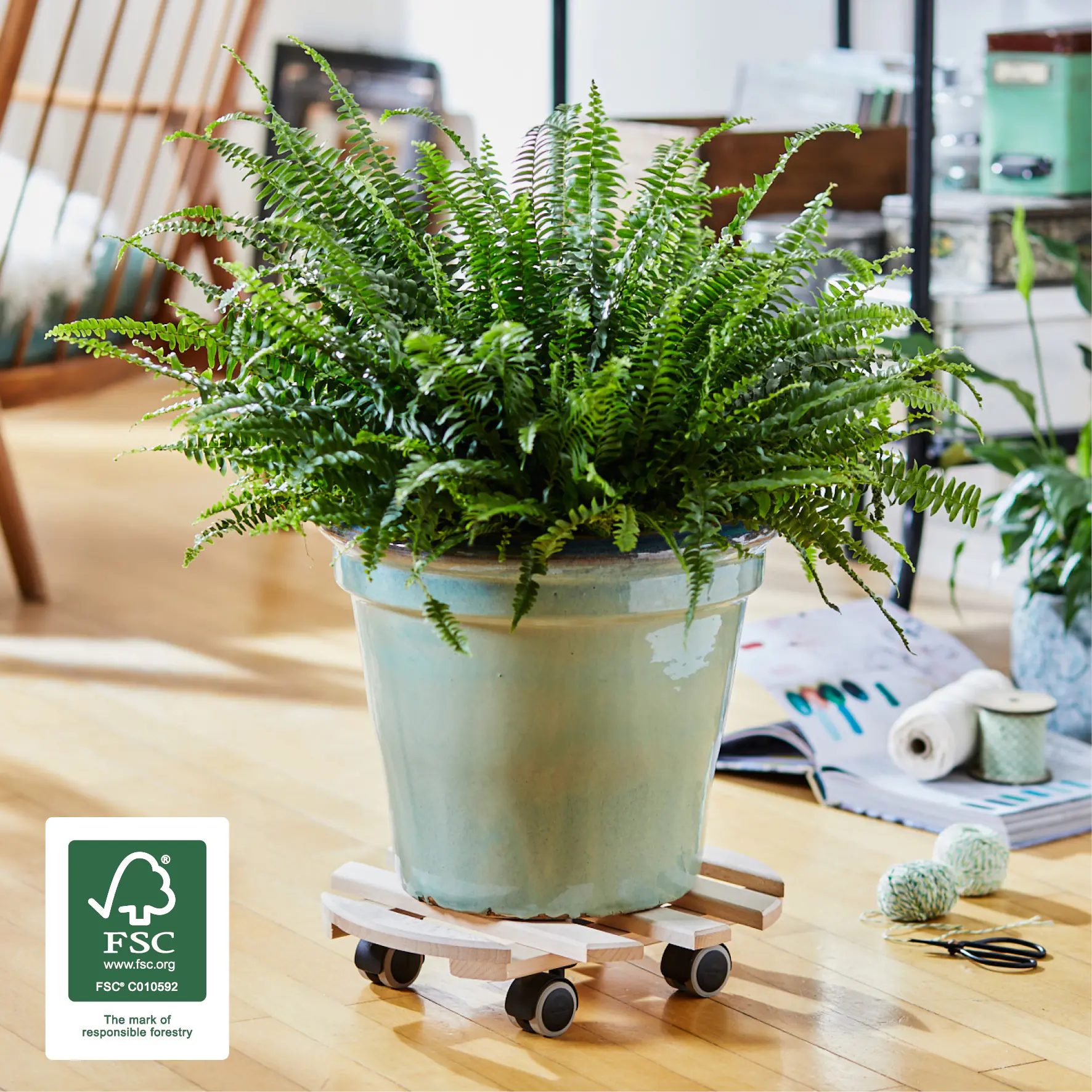 WAGNER Pflanzenroller Paletti Ø 35 cm Tragkraft bis max. 100 kg