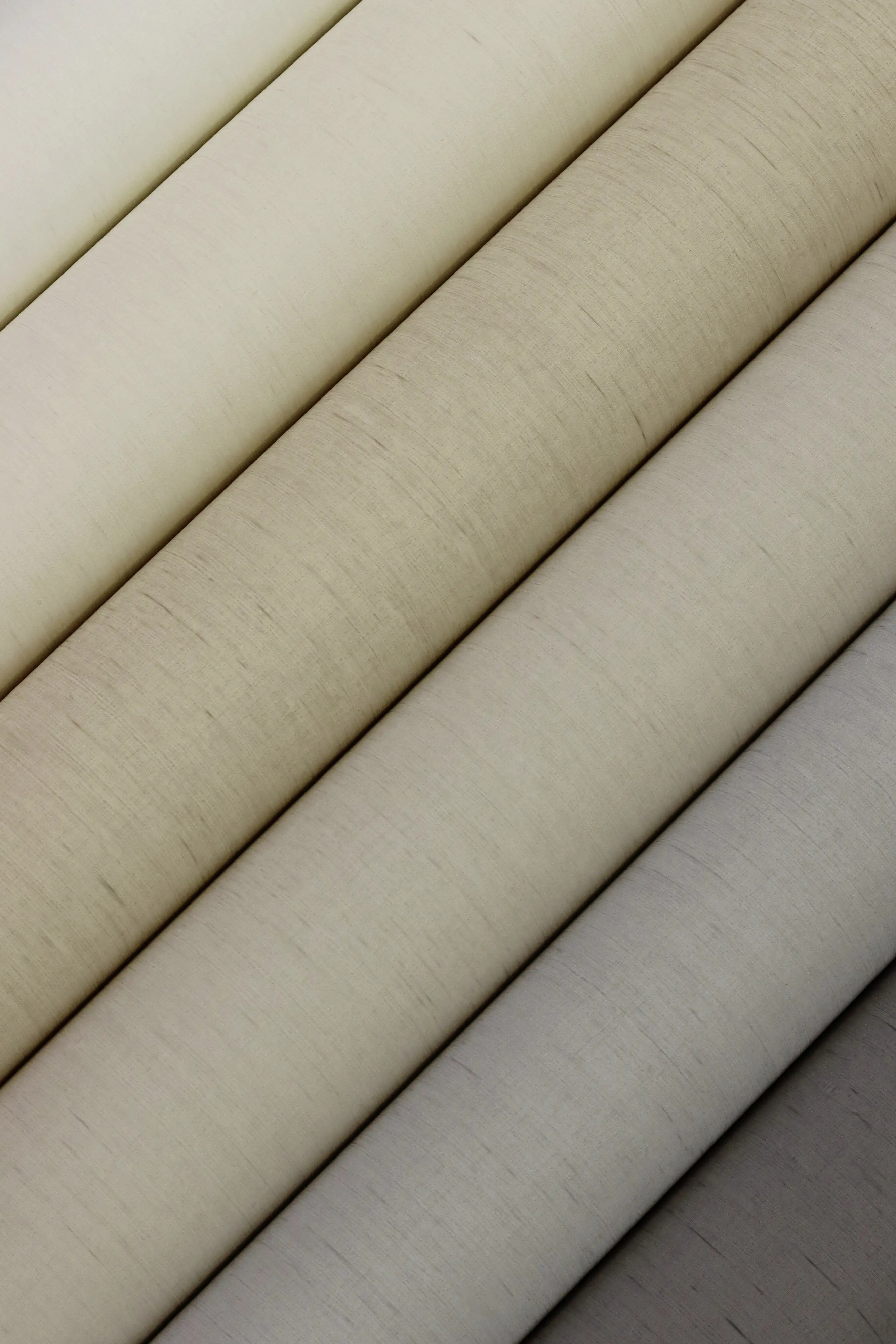 Rasch Vliestapete 746020 Beige-Hellbeige Uni 10,05 m x 0,53 m