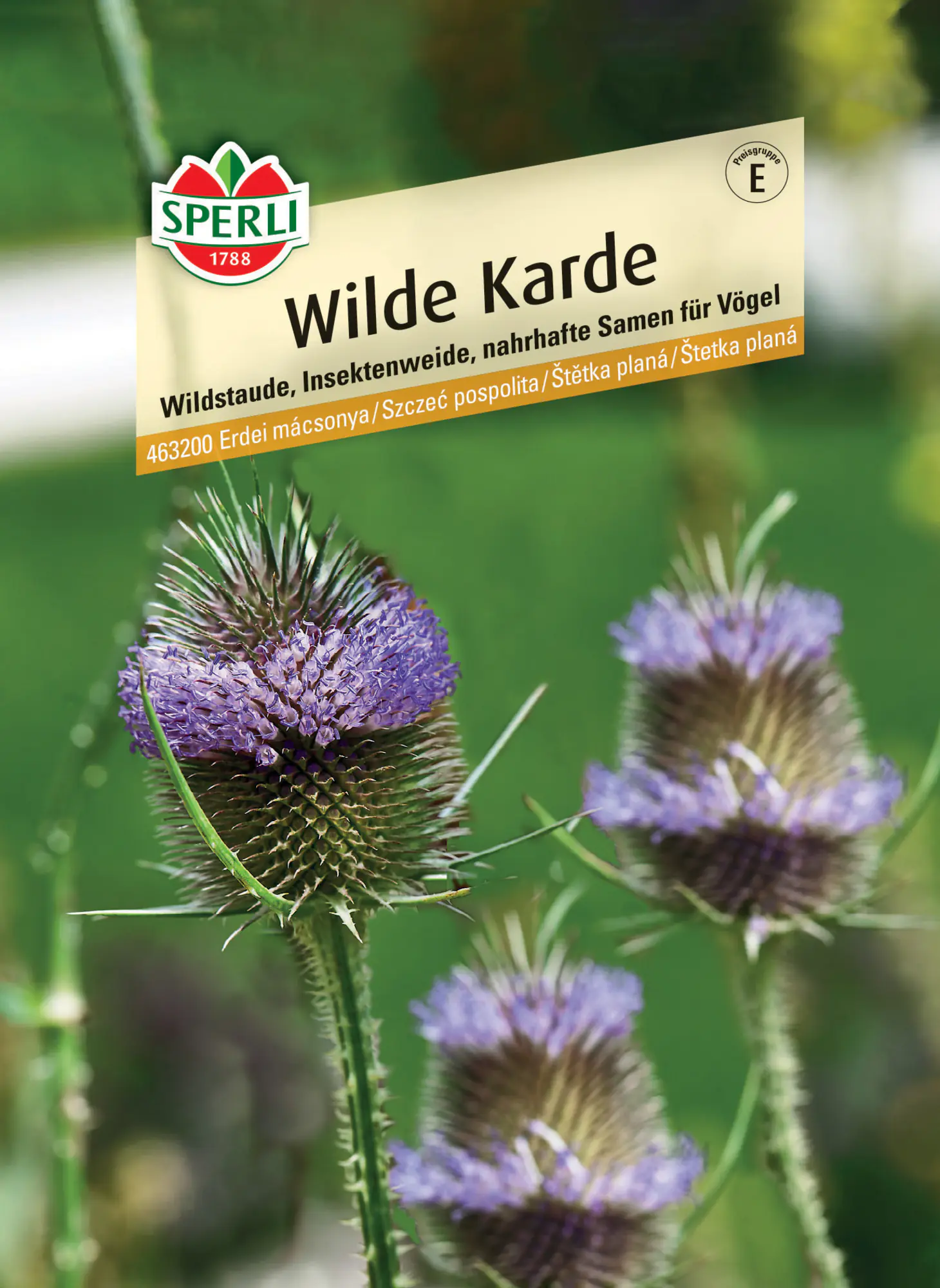 Sperli Wilde Karde