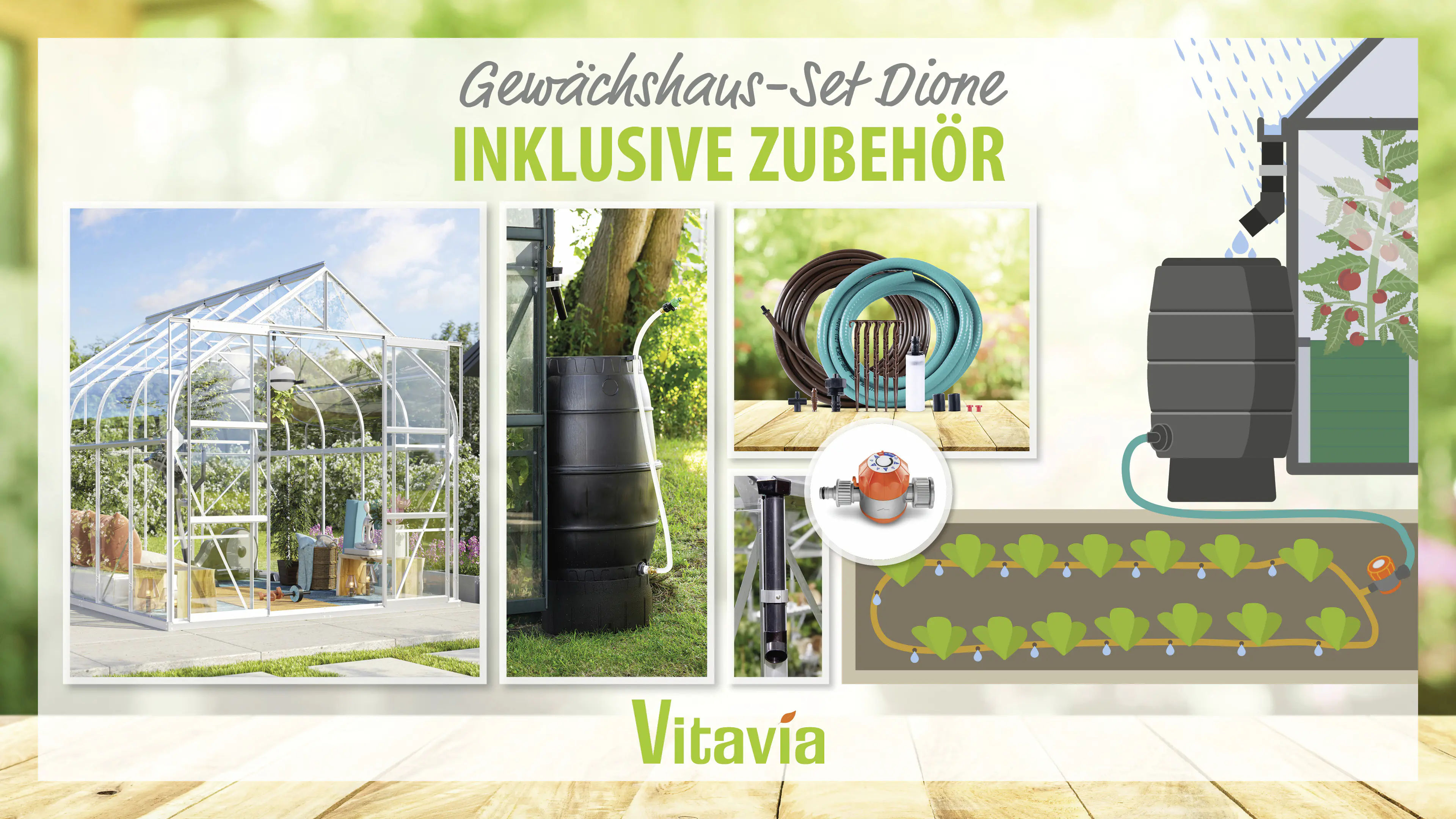 Vitavia Gewächshaus-Set Dione 8300 ESG 3 mm alu 254 x 317 cm 