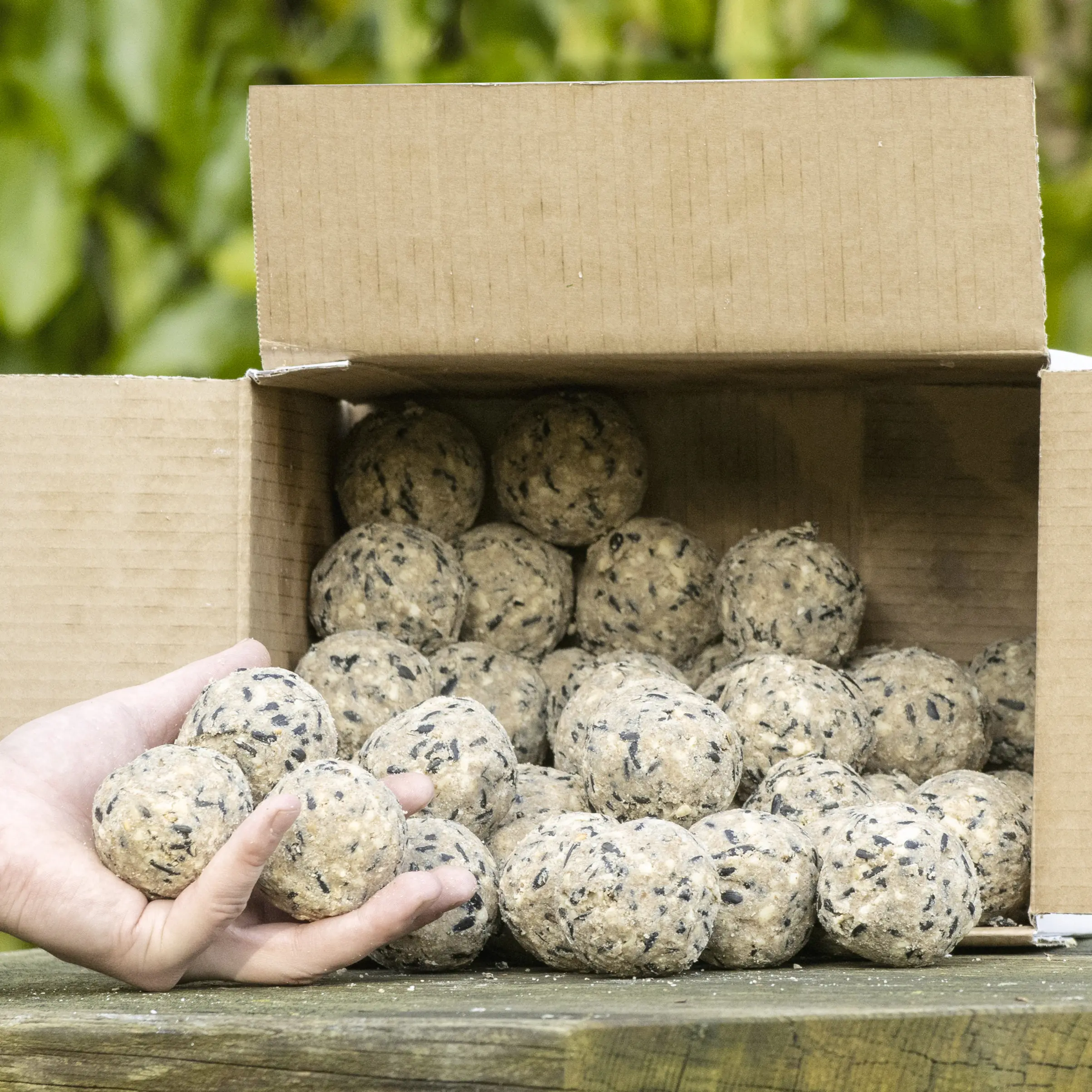 CJ Wildlife Vogelfutter Meisenknödel 50 Stück 