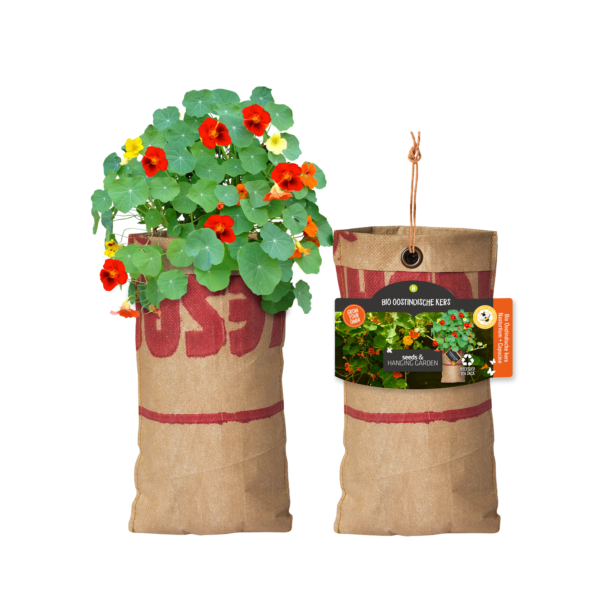 Baza Seeds hängender Garten Bio Tropaeolum/Kapuzienerkresse