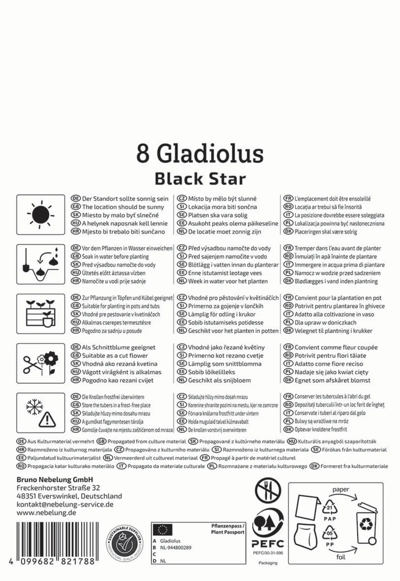 Kiepenkerl Profi-Line Frühjahrsblumenzwiebel Großblumige Gladiole Black Star 8 Stück