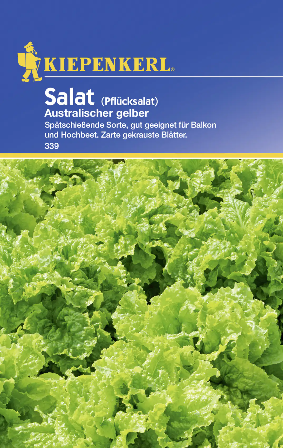Kiepenkerl Pflücksalat Australischer gelber Lactuca sativa, Inhalt: ca. 5 lfd. Meter Kiepenkerl Pflücksalat Australischer gelber Lactuca sativa, Inhalt: ca. 5 lfd. Meter