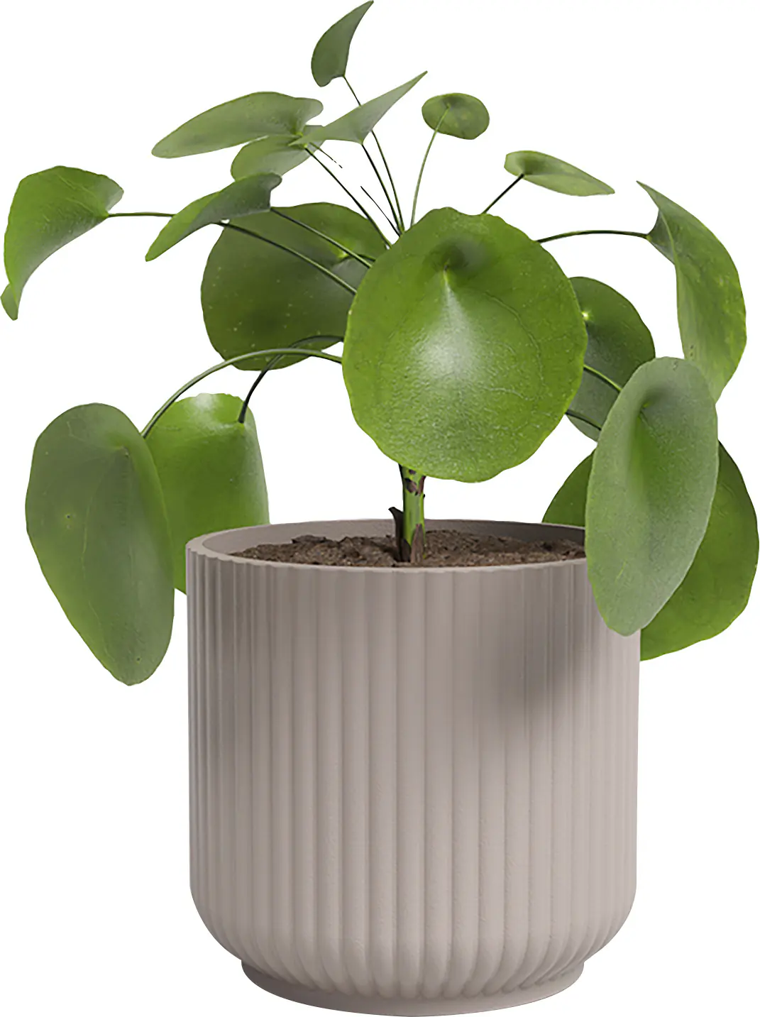 Artevasi Übertopf Luna Keramik hellrosa matt Ø 19 x 17 cm 