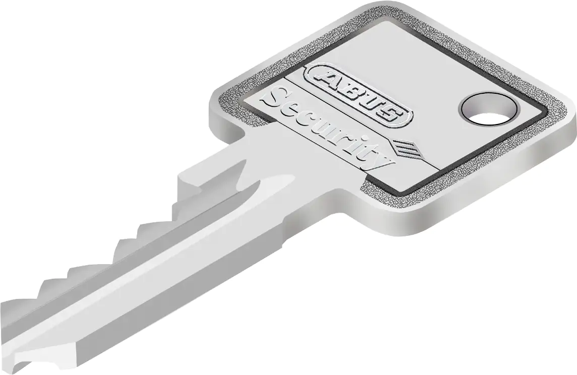 Abus Profilzylinder GZ 30/35 mm