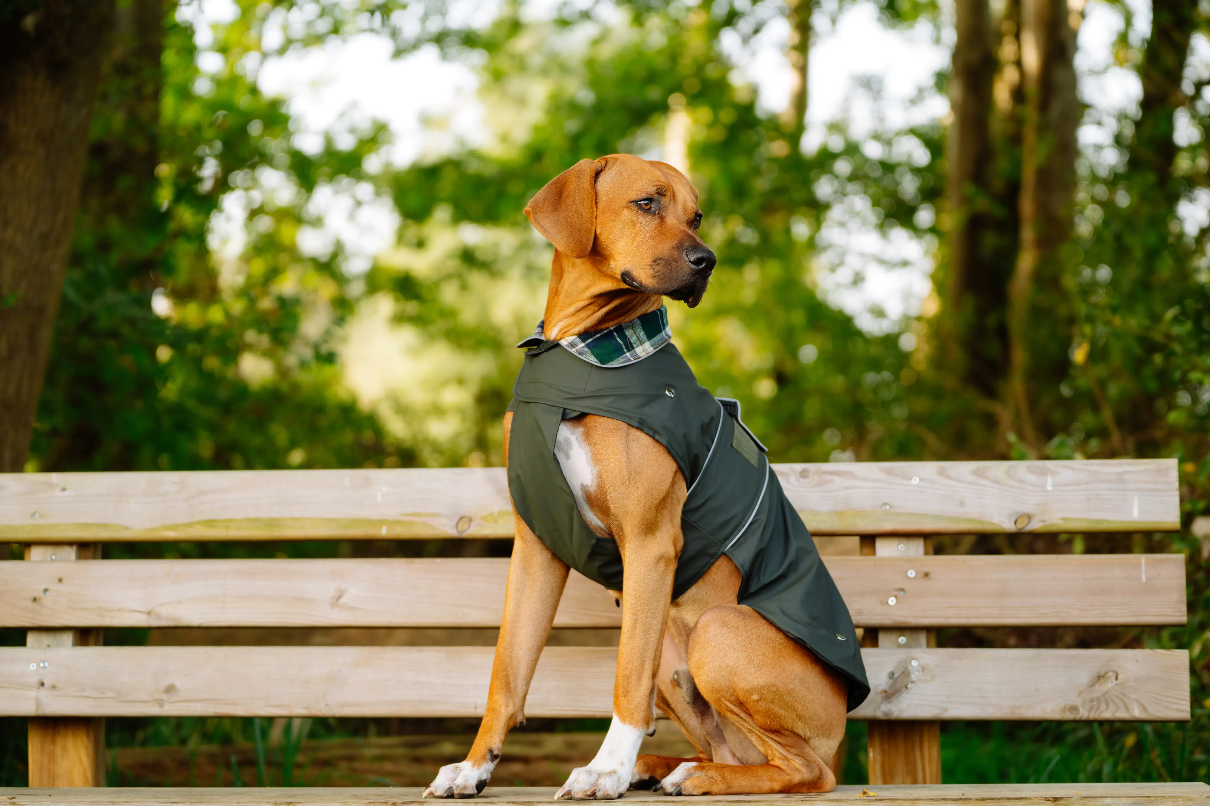 Nobby Hundemantel Sela dunkelgrün Nobby Hundemantel Sela dunkelgrün