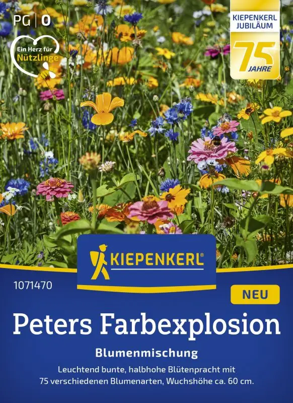 Kiepenkerl Profi-Line Blumensamen Blumenmischung Peters Farbexplosion 2 g für ca. 2 - 3 m²