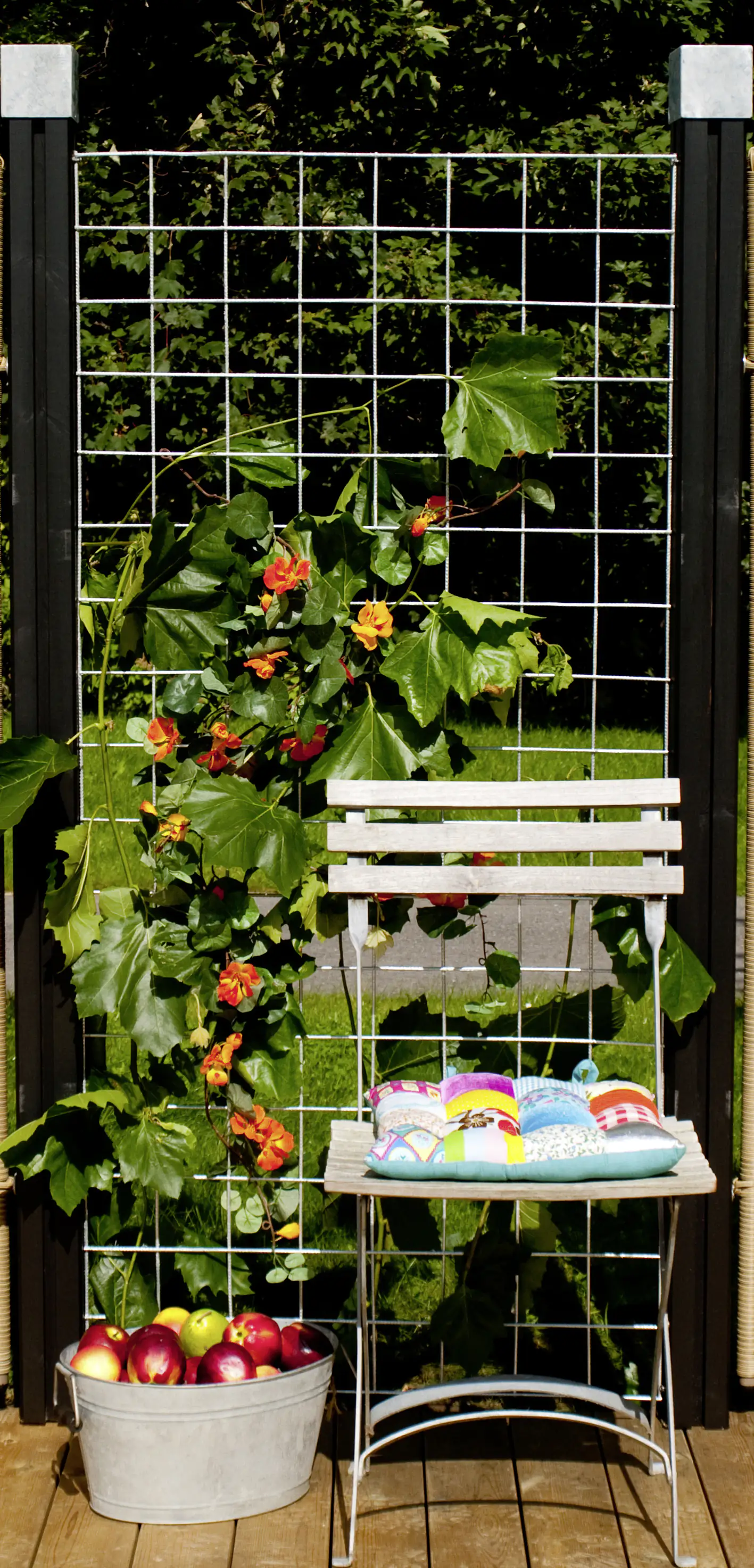 Plus Stahlspalier 80x140 cm