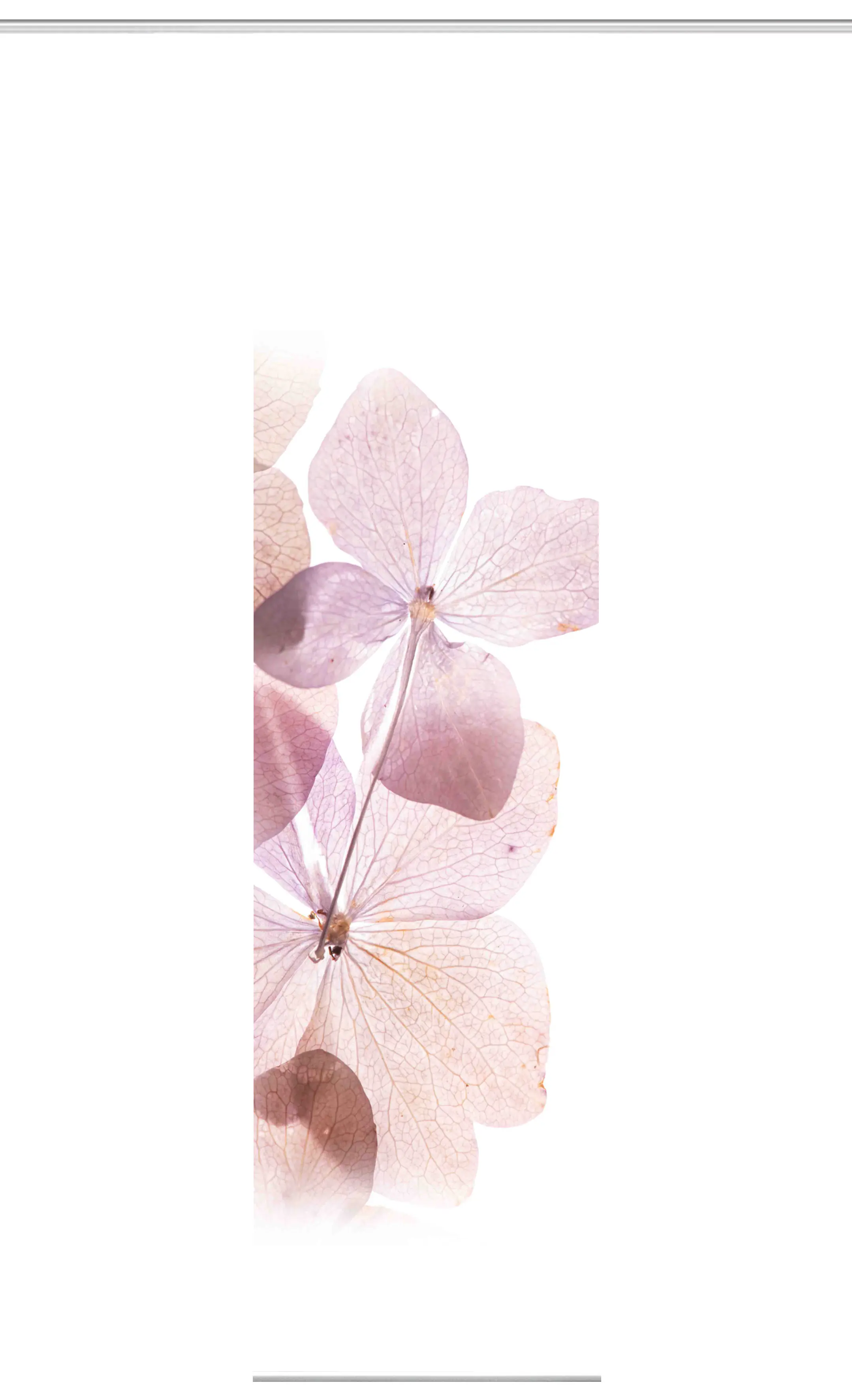 Home Wohnideen Schiebegardine Bonita 245 x 60 cm rose