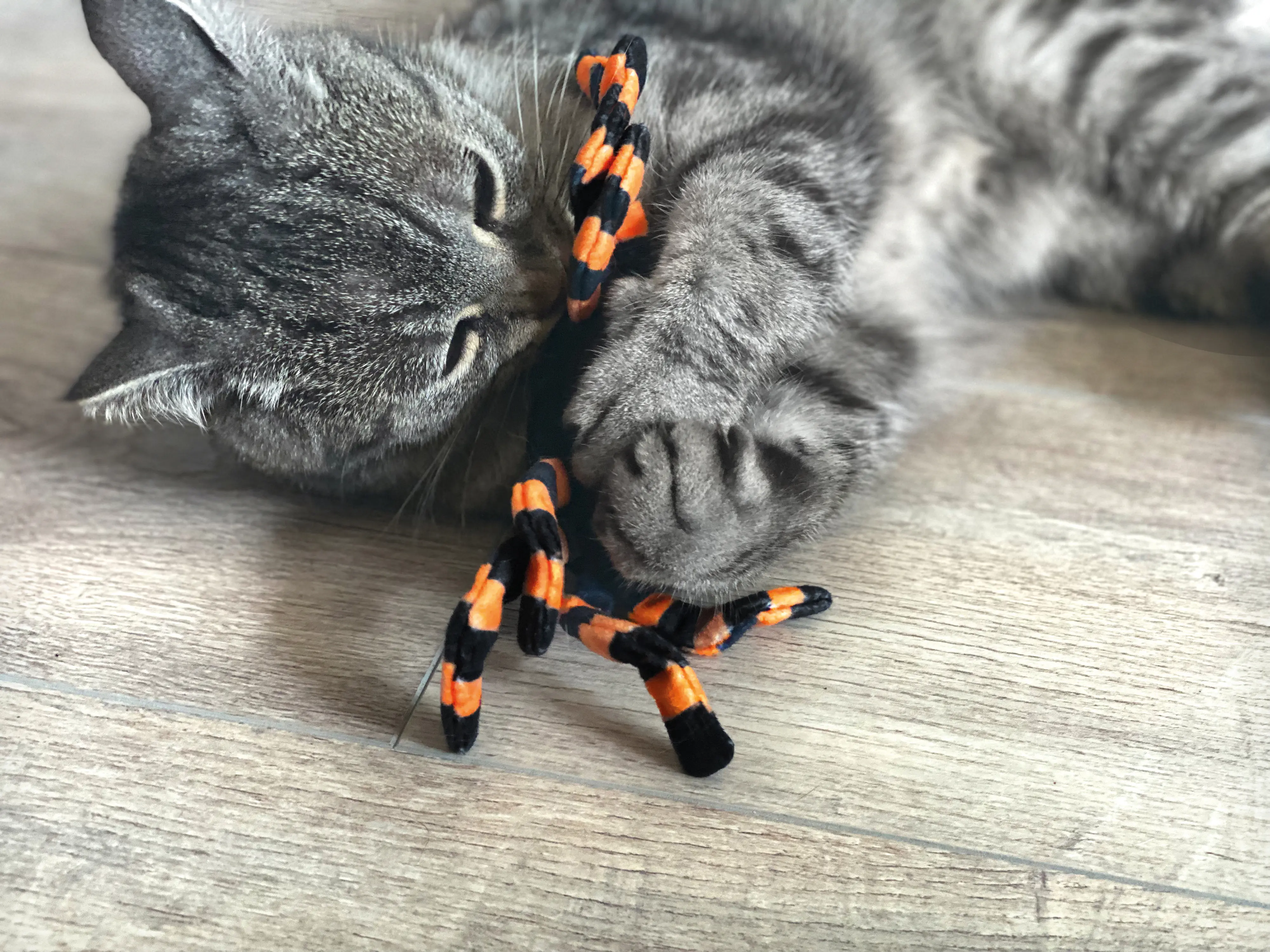 Aumüller Katzenspielzeug Spinne Thekla 18 cm schwarz orange Aumüller Katzenspielzeug Spinne Thekla 18 cm schwarz orange