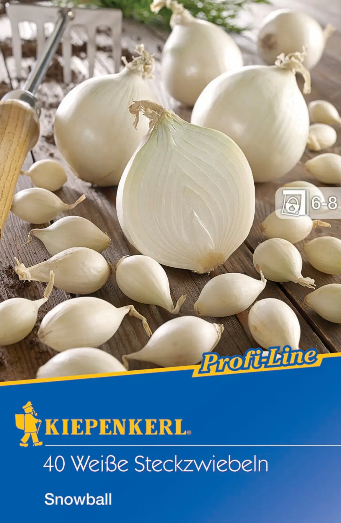 Kiepenkerl Steckzwiebel Snowball