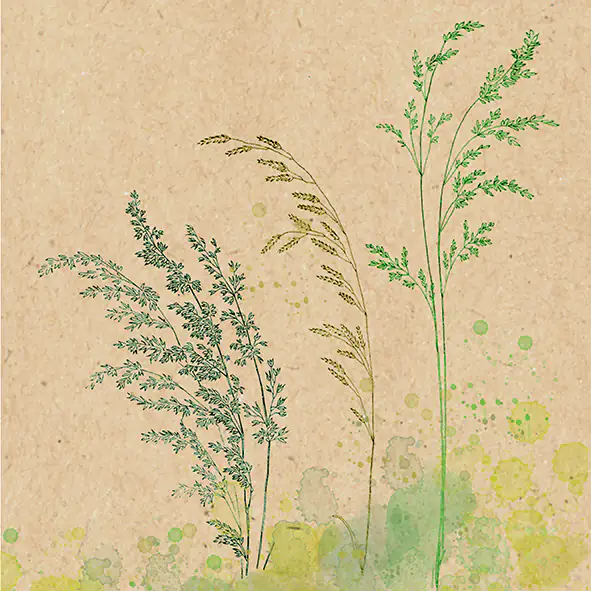 Braun & Company Servietten natur grün 33 x 33 cm - 20er Pack