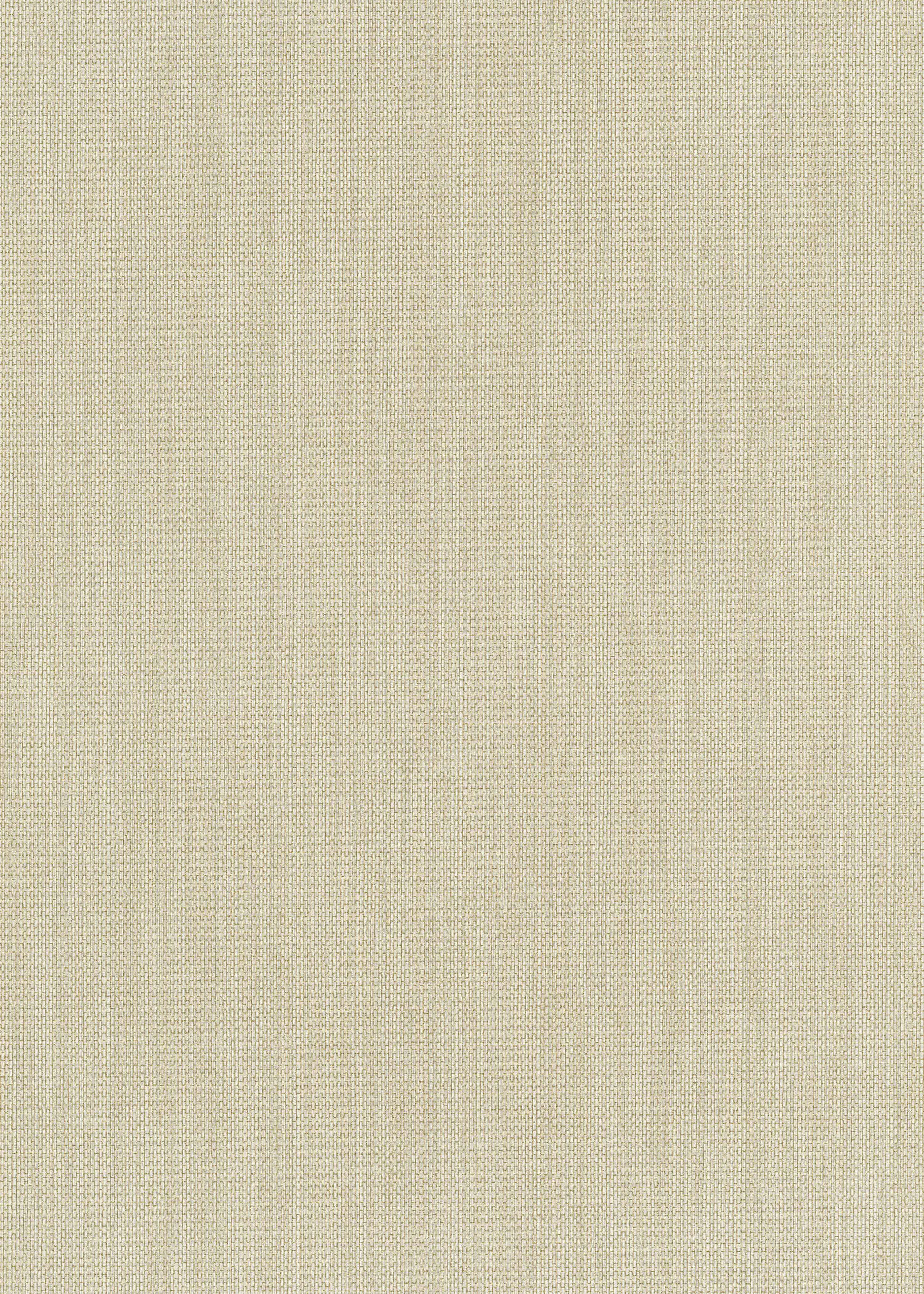 Erismann Vliestapete 6309-02 Paradiso 2 uni beige 10,05 x 0,53 m