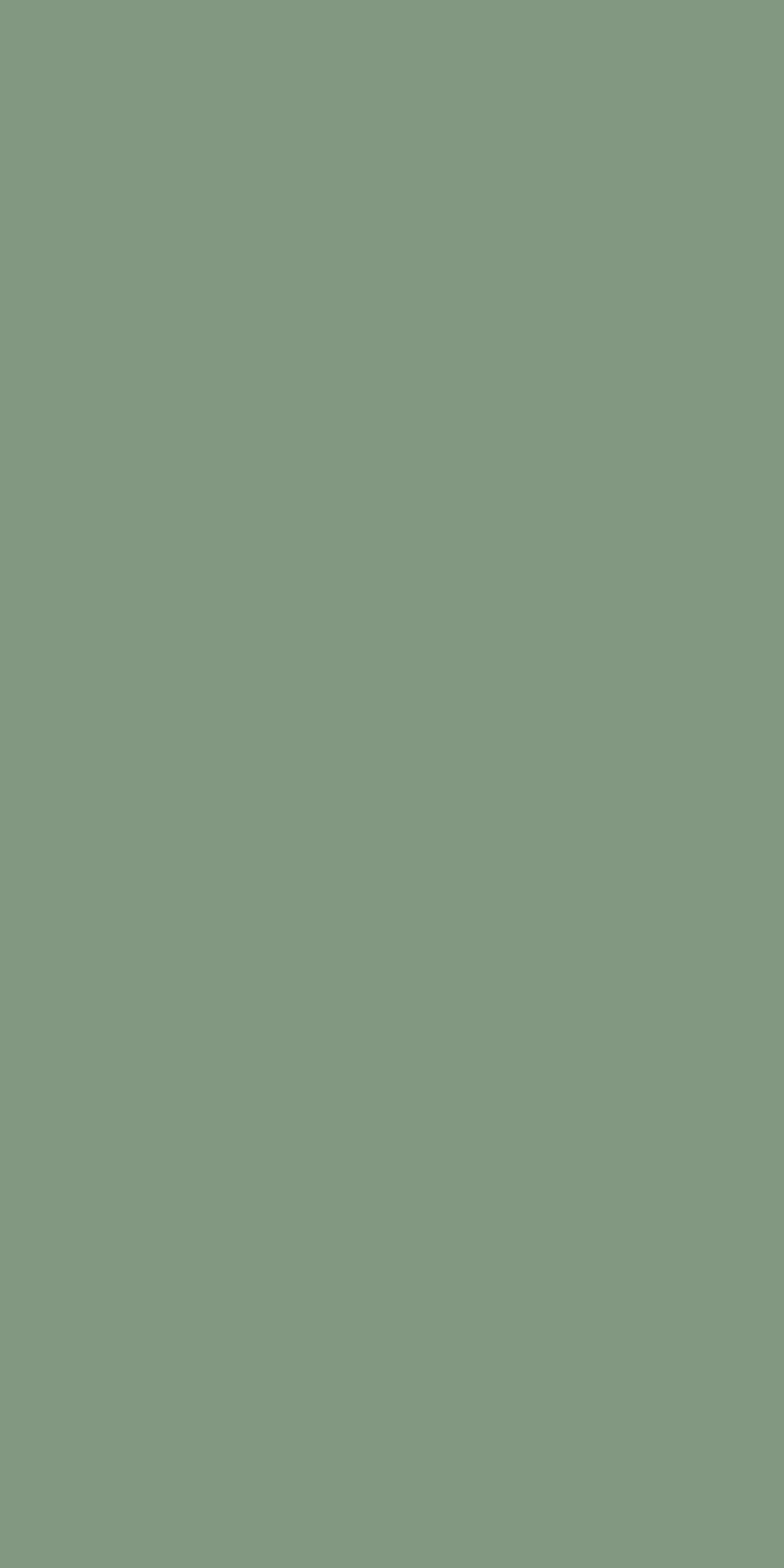 Wetwall Alloy Wandpaneel  Seafoam Green/Battleship Grey 90 x 244 cm
