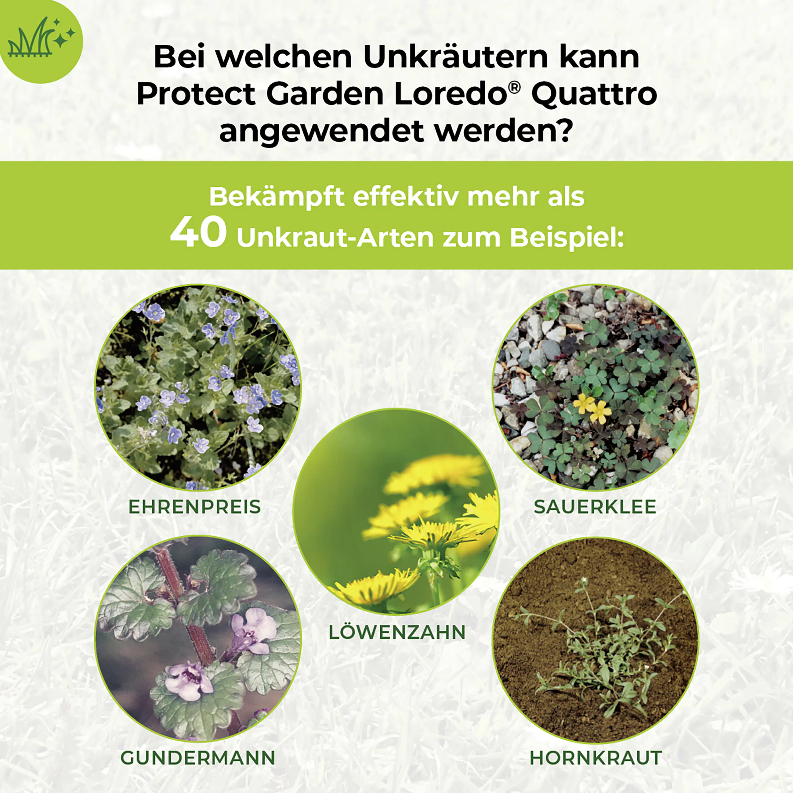 Protect Garden Loredo Quattro Universal Rasenunkrautfrei 100 ml Protect Garden Loredo Quattro Universal Rasenunkrautfrei 100 ml