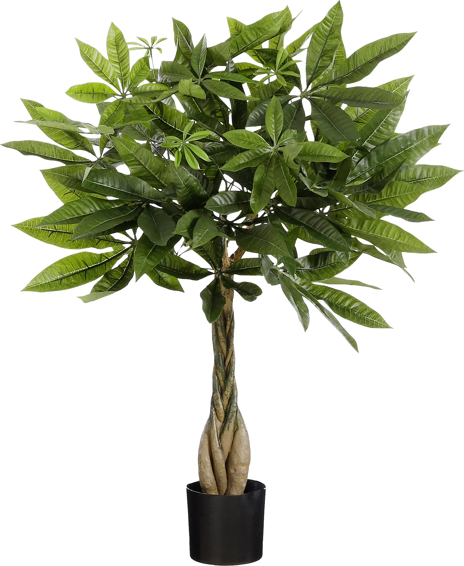 Mica Kunststoffpflanze Pachira Ø 60 x H 60 cm 