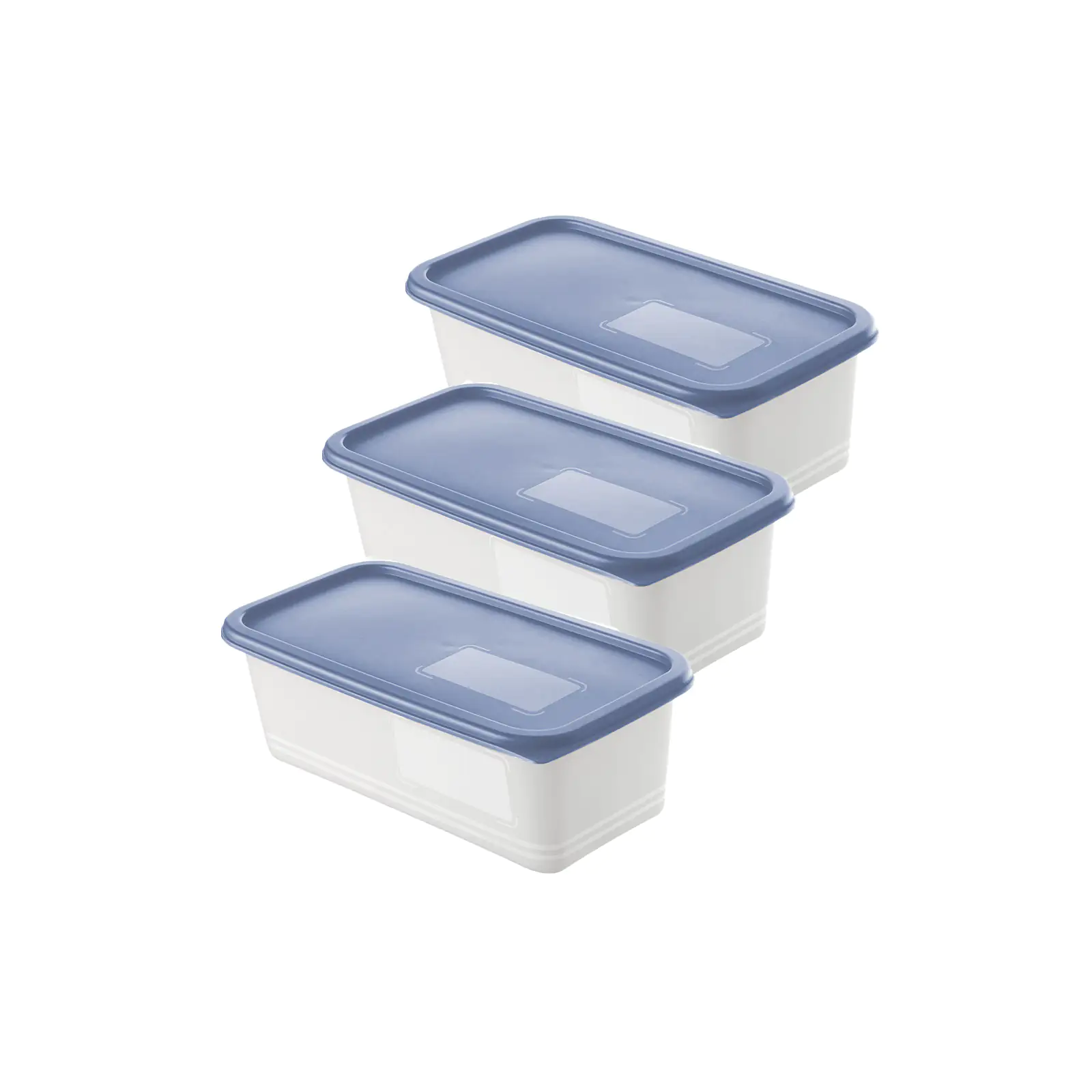 Rotho Gefrierdosen-Set Domino 3 x 1,2 l horizon blau