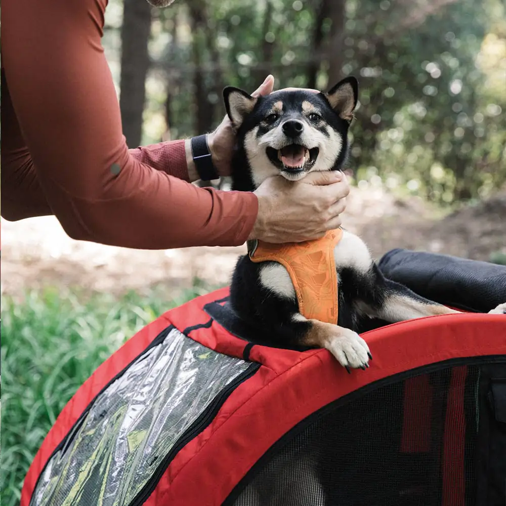 Nobby Fahrradanhänger Senlima für Hunde bis max. 15 kg