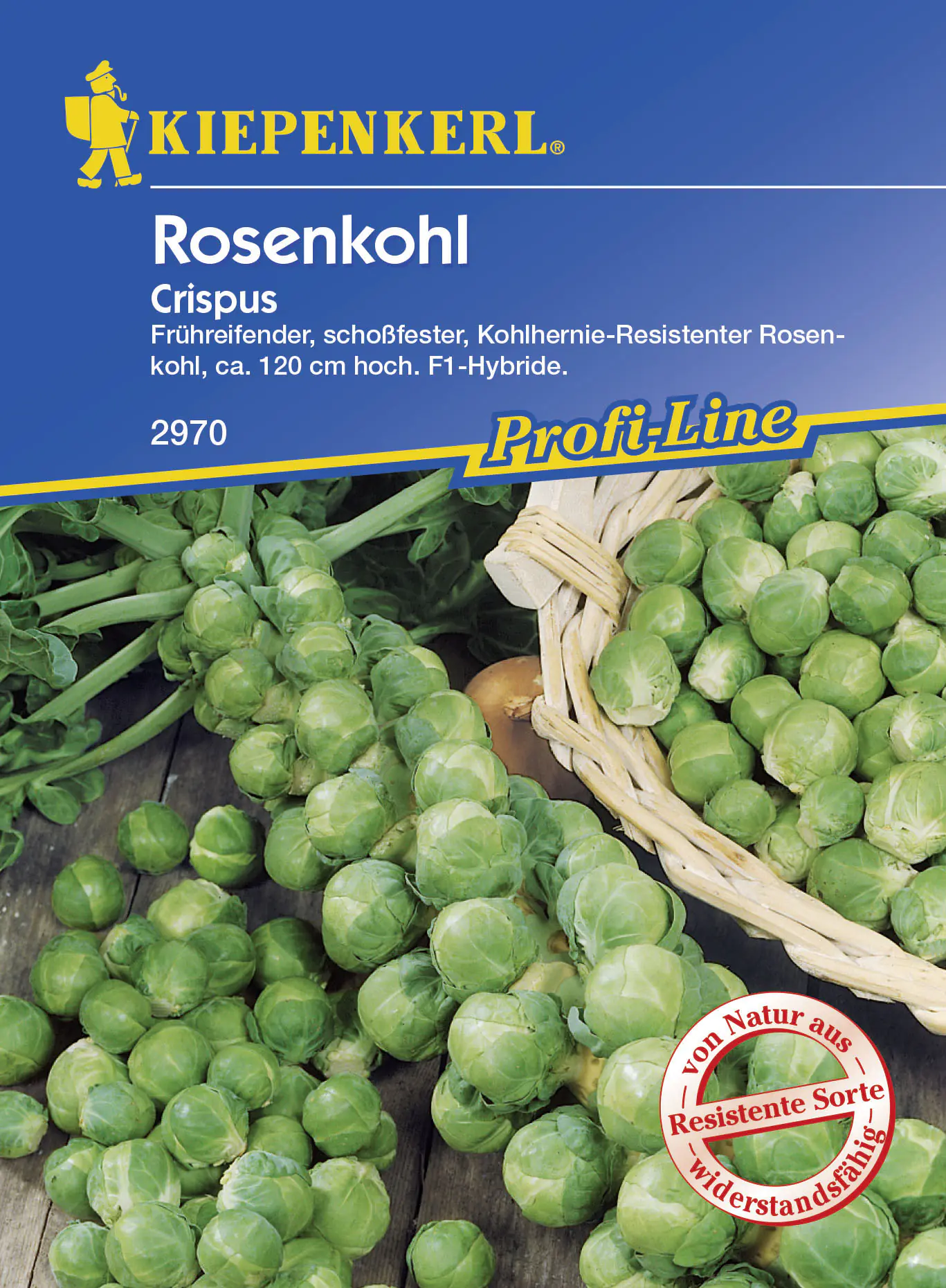 Kiepenkerl Rosenkohl Crispus Brassica oleracea, Inhalt: ca. 10 Pflanzen