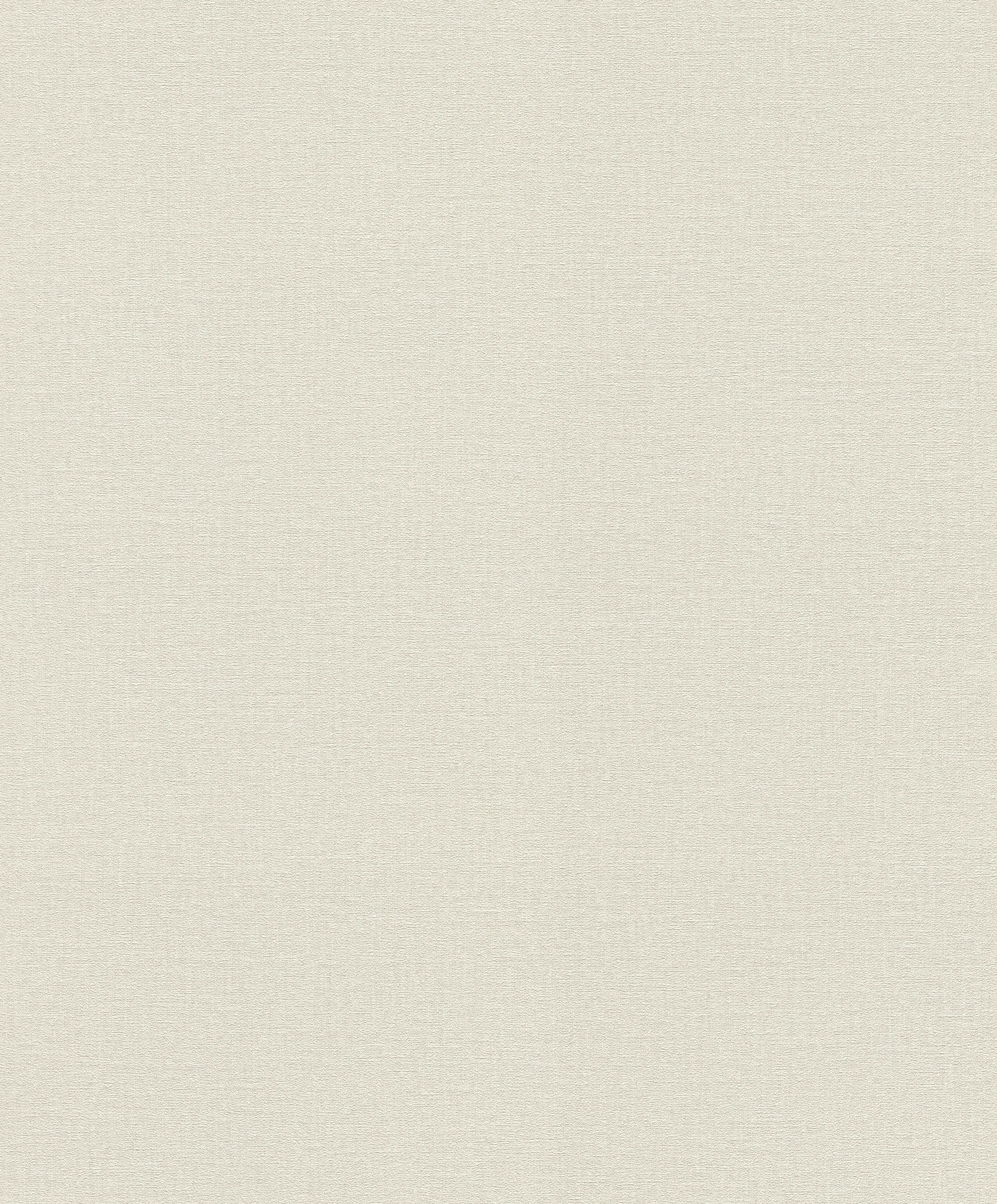 Rasch Vliestapete 555844 Grau-Hellgrau Uni 10,05 m x 0,53 m