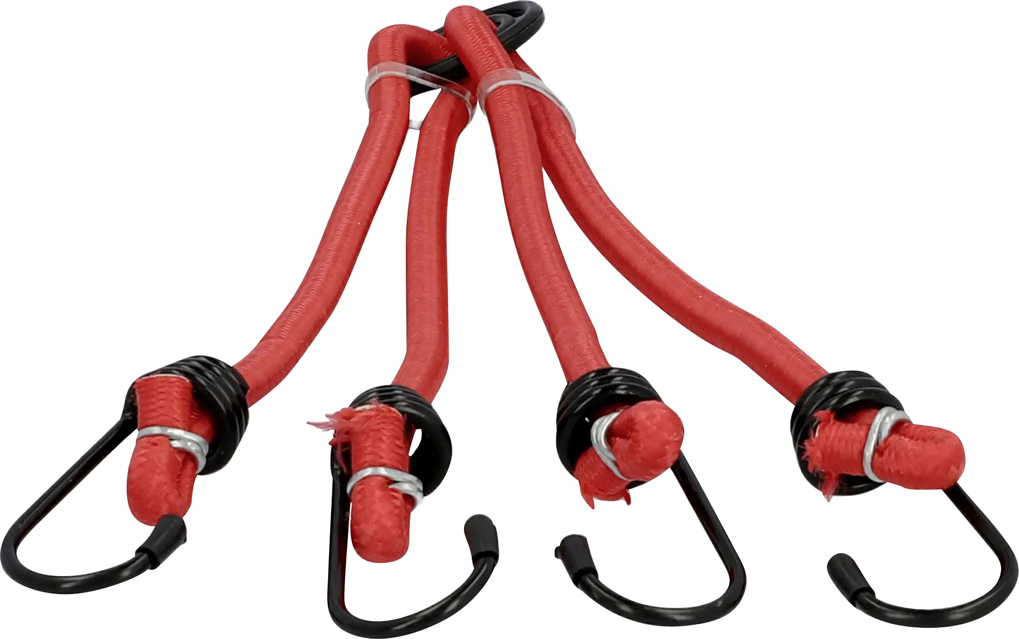 Fischer Gepäckspinne