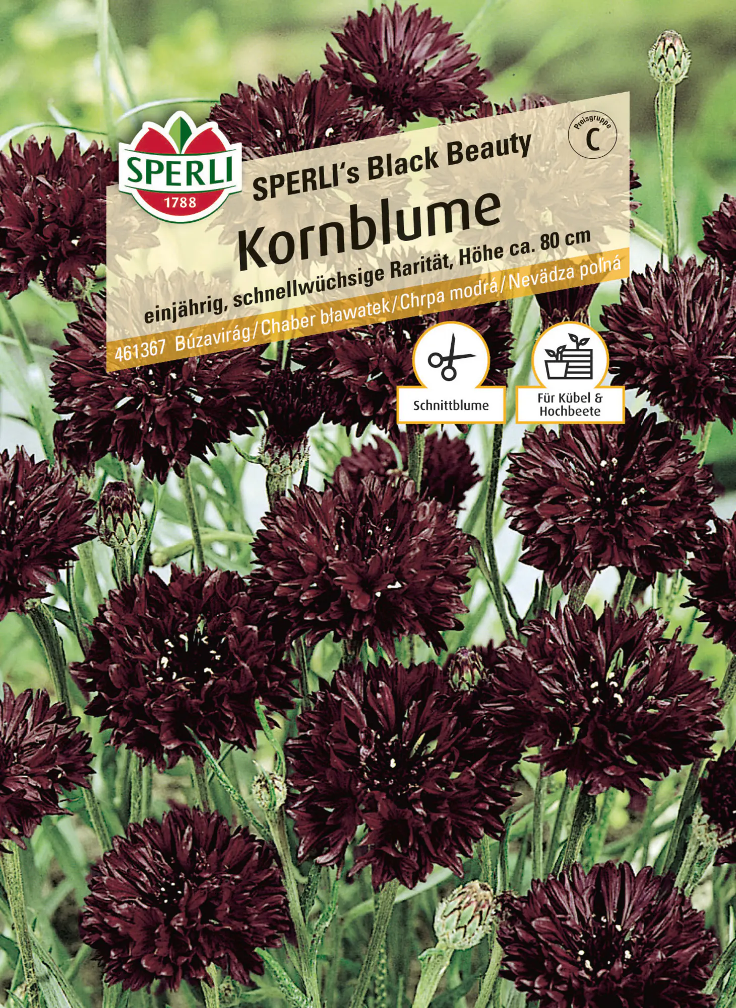 Sperli Saatgut Kornblume Black Beauty für ca. 1-2 m²