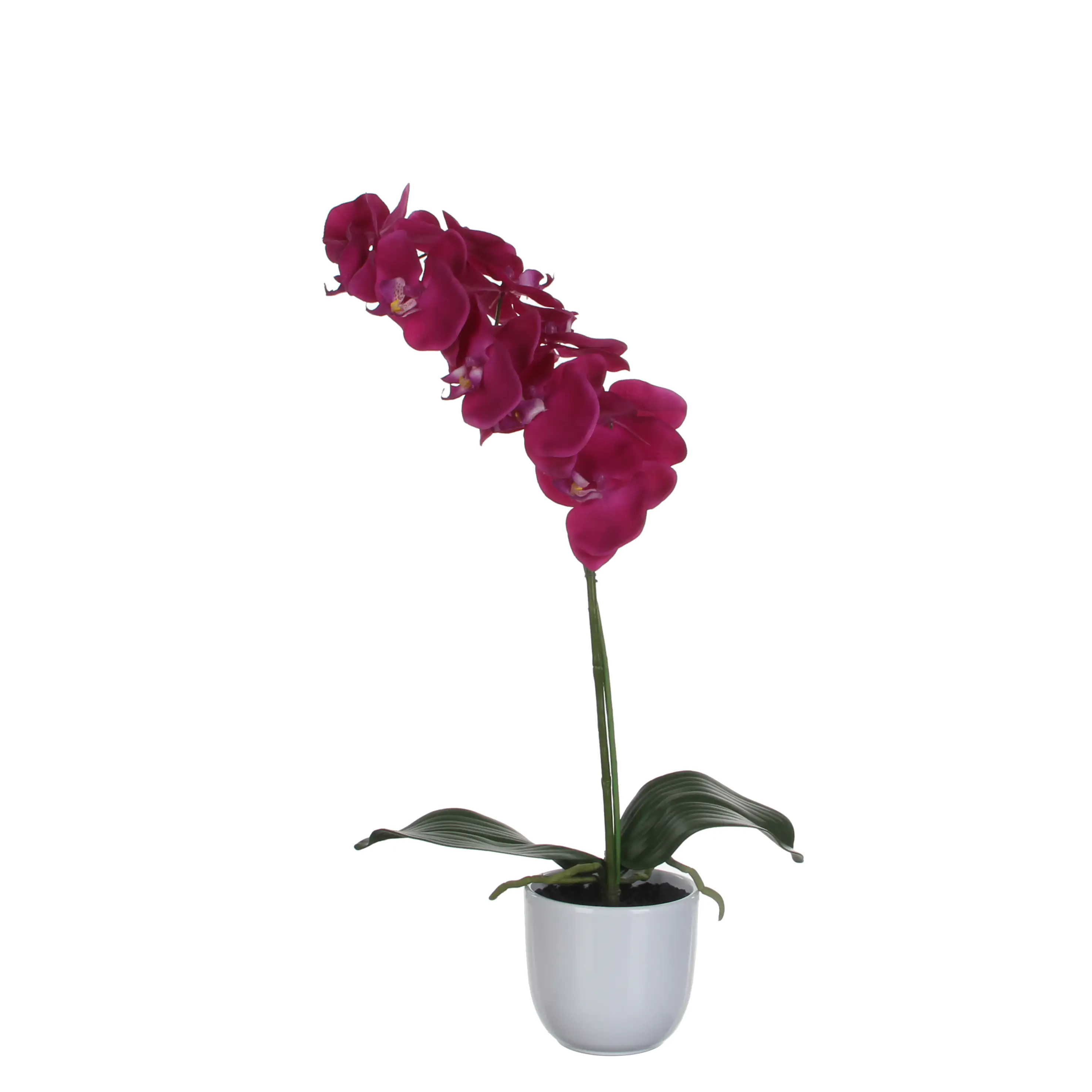 Mica Kunstpflanze Phalaenopsis im Topf violett, 60 x 16 cm
