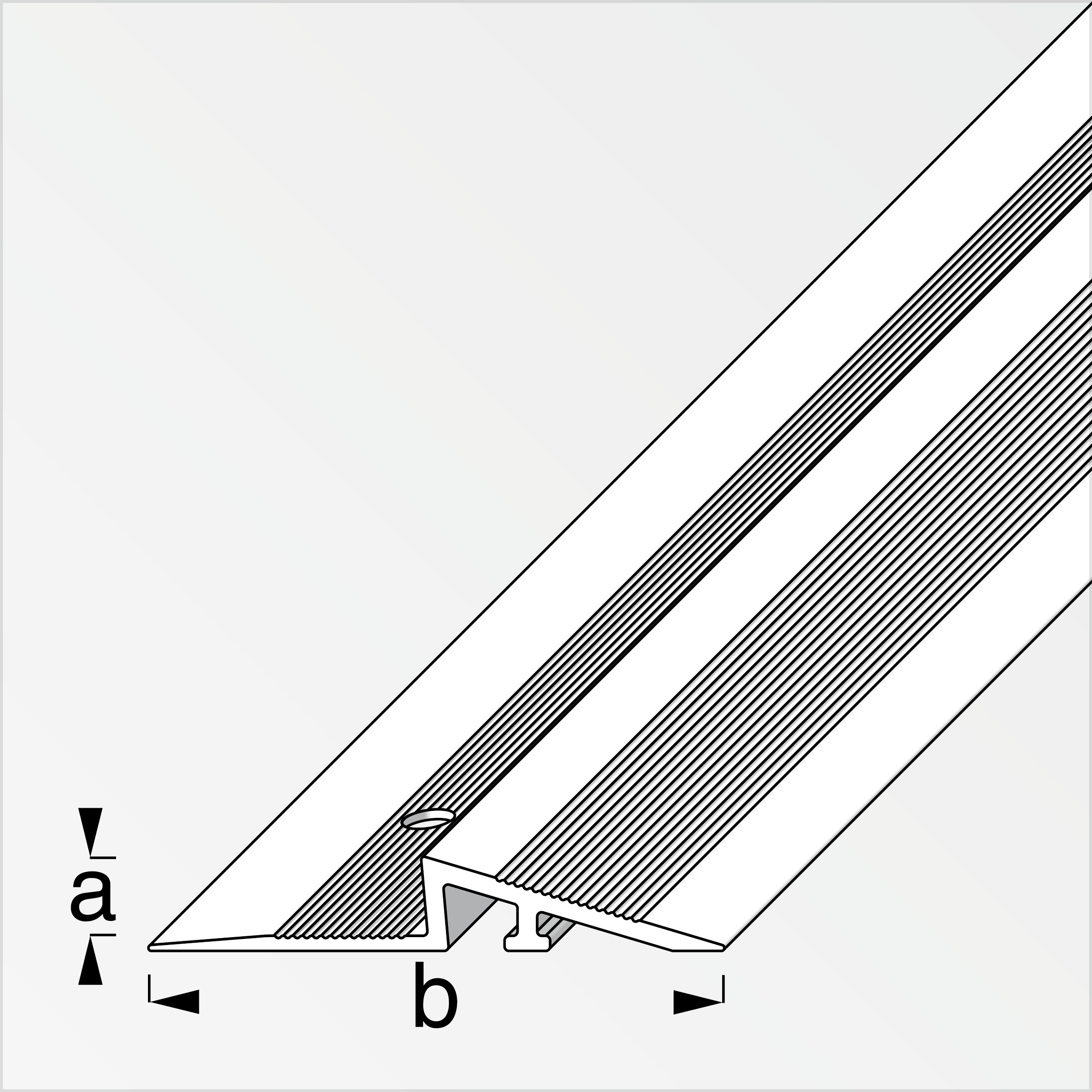 alfer Rampen-Profil 1 m, 38 x 4.2 mm Aluminium eloxiert silber