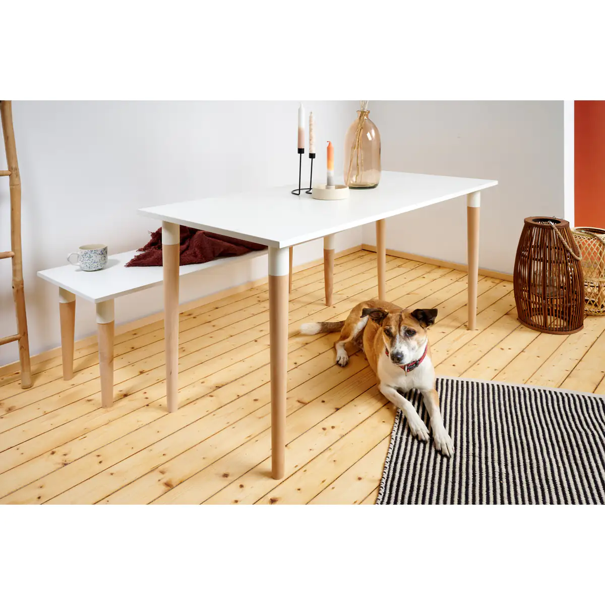 Hettich Möbelfuß 5,0 x 71 cm Buche/Stahl weiß - 1 Stück