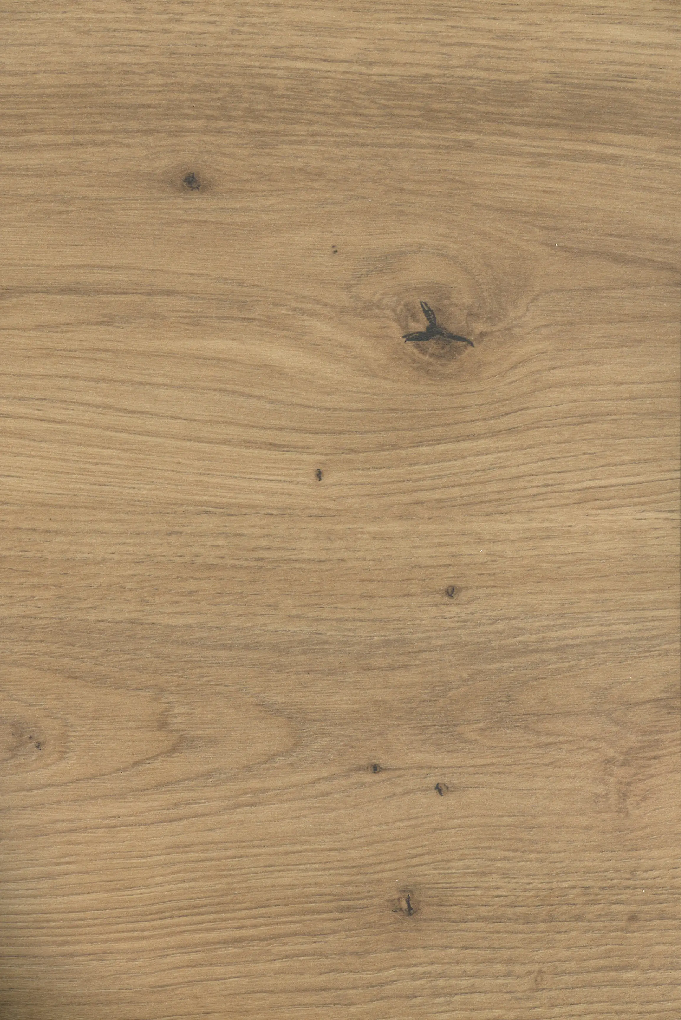 GetaElements Wandanschlußprofil Plus Ei793 artis eiche 300x2x3 cm