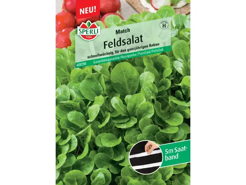 Sperli Saatgut Feldsalat Match für ca. 4 – 7,5 m²
