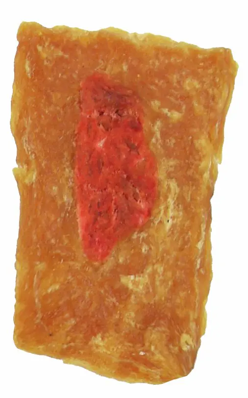 8in1 Hundesnack Fillets Pro Active S