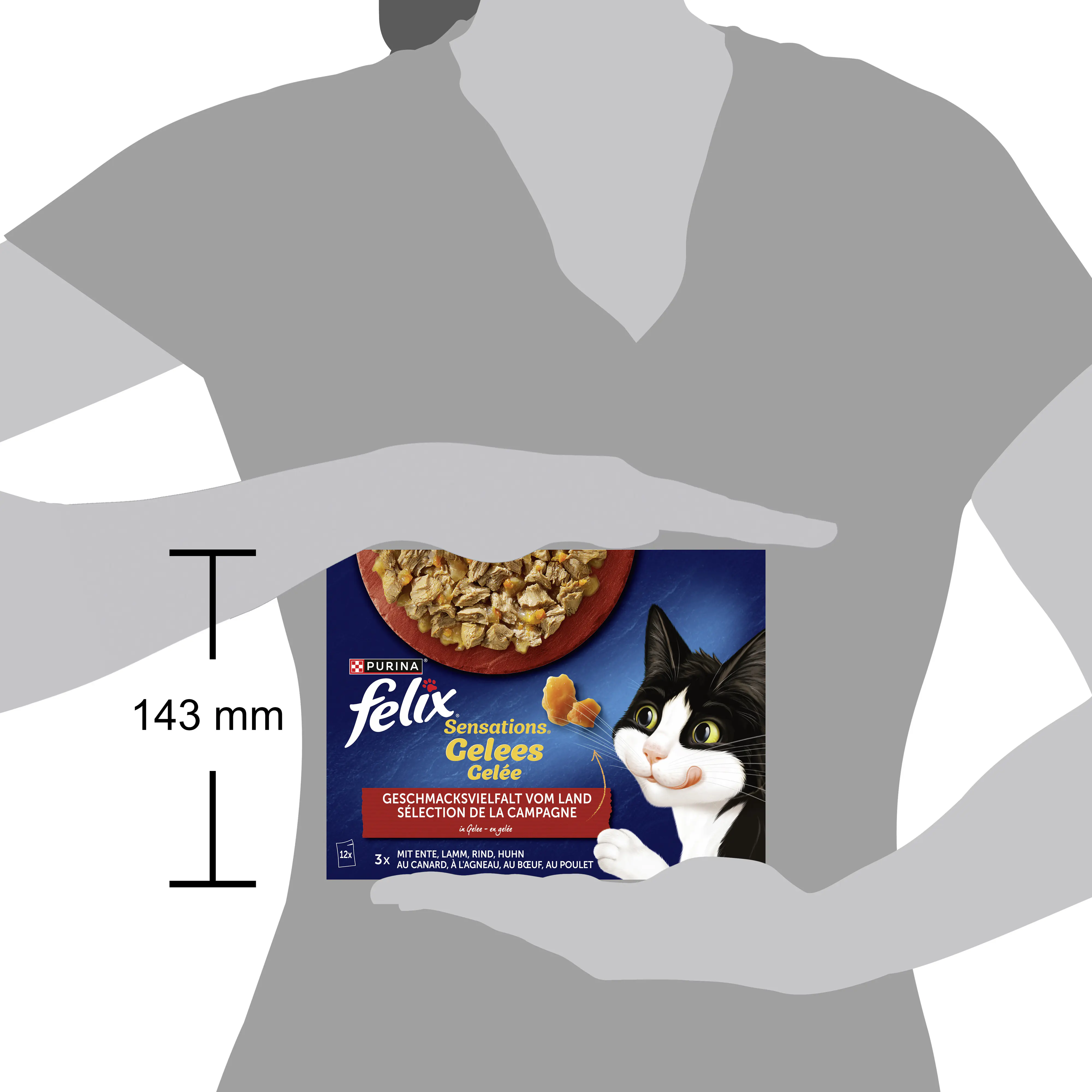 Felix Sensations Gelee Geschmacksvielfalt vom Land Katzenfutter 12 x 85g