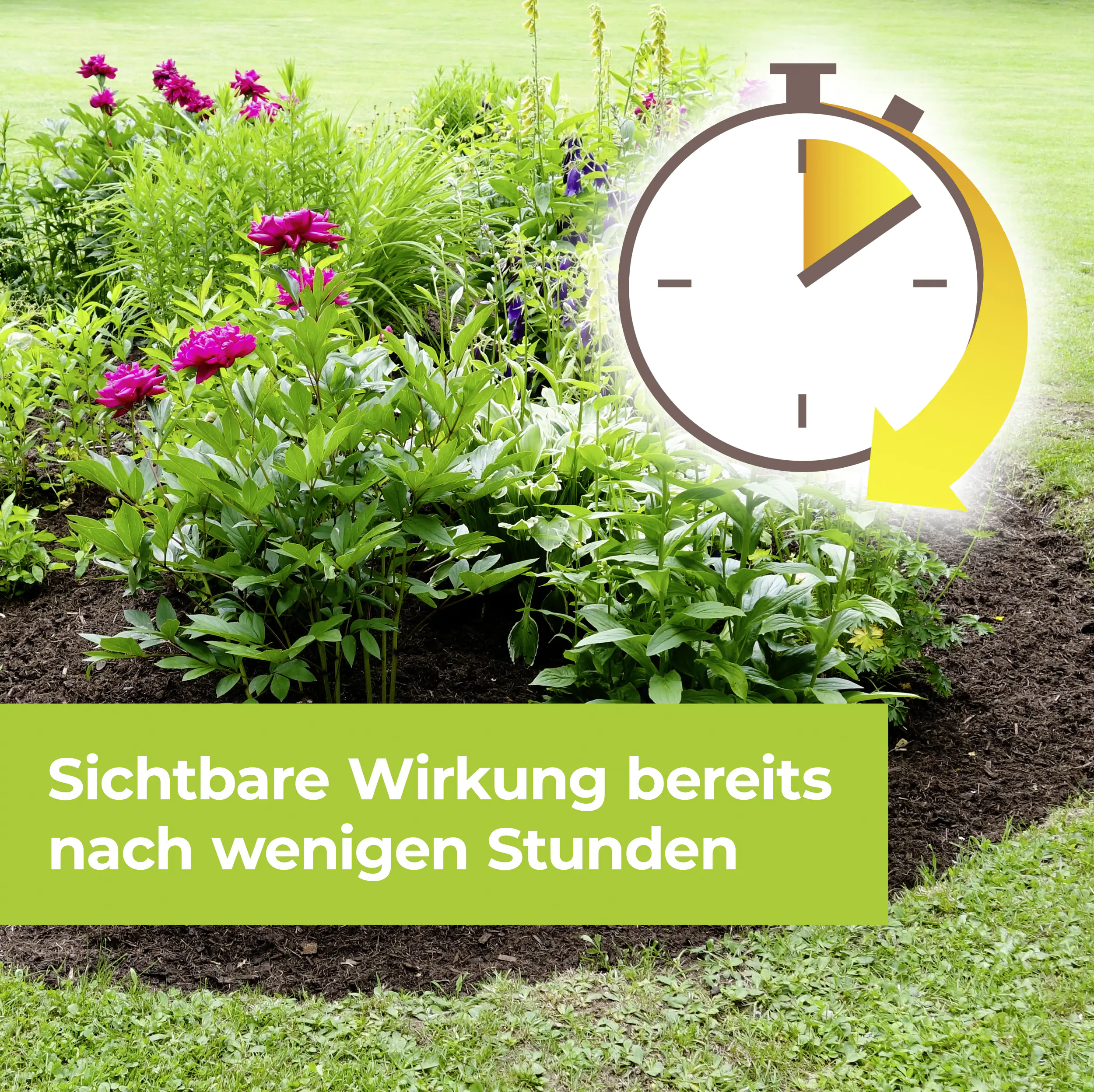 Protect Garden Permaclean Duo Unkraut & Wurzel-Ex 500 ml