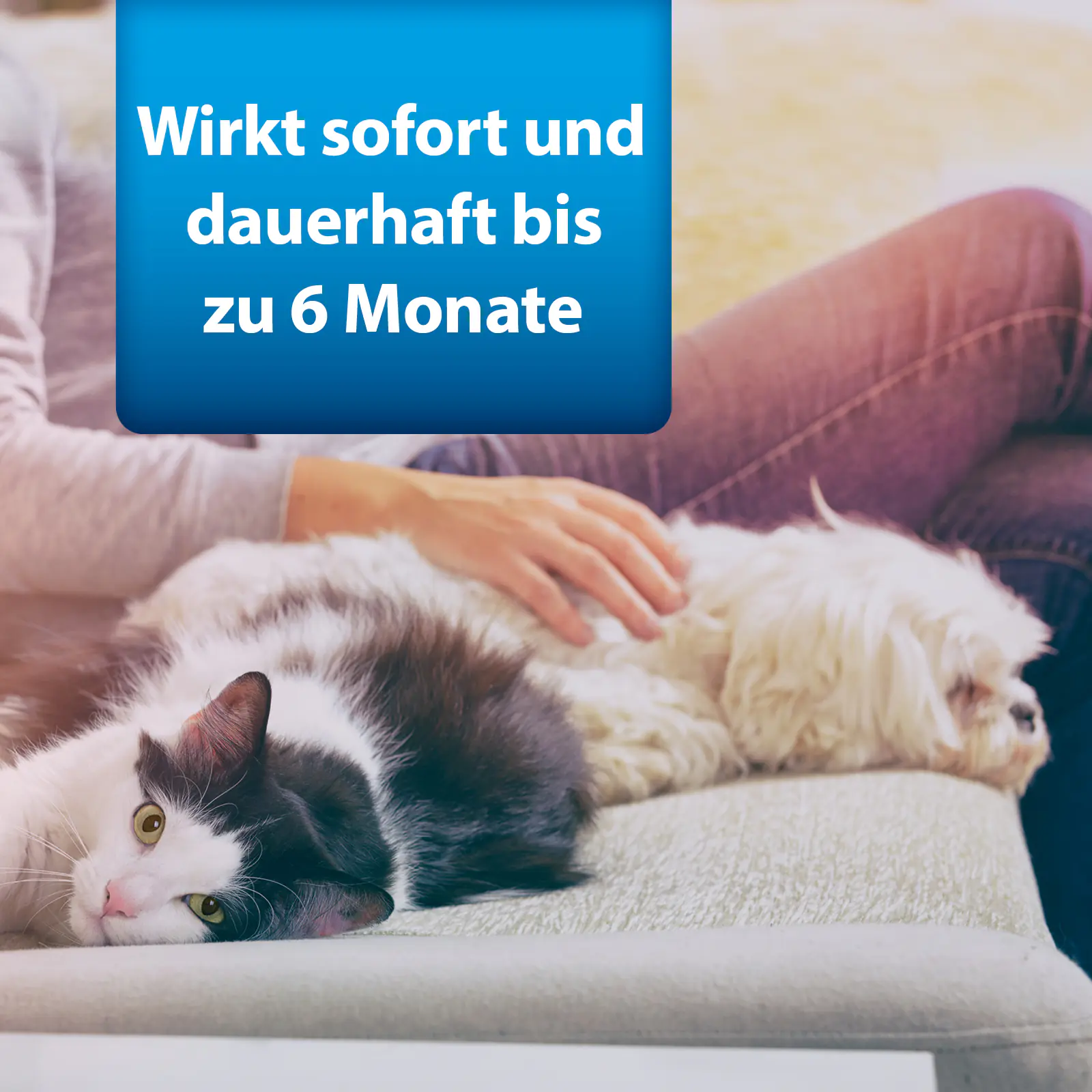 Ardap Pro Fogger vernebelt Ungeziefer und Flöhe 2 x 100 ml