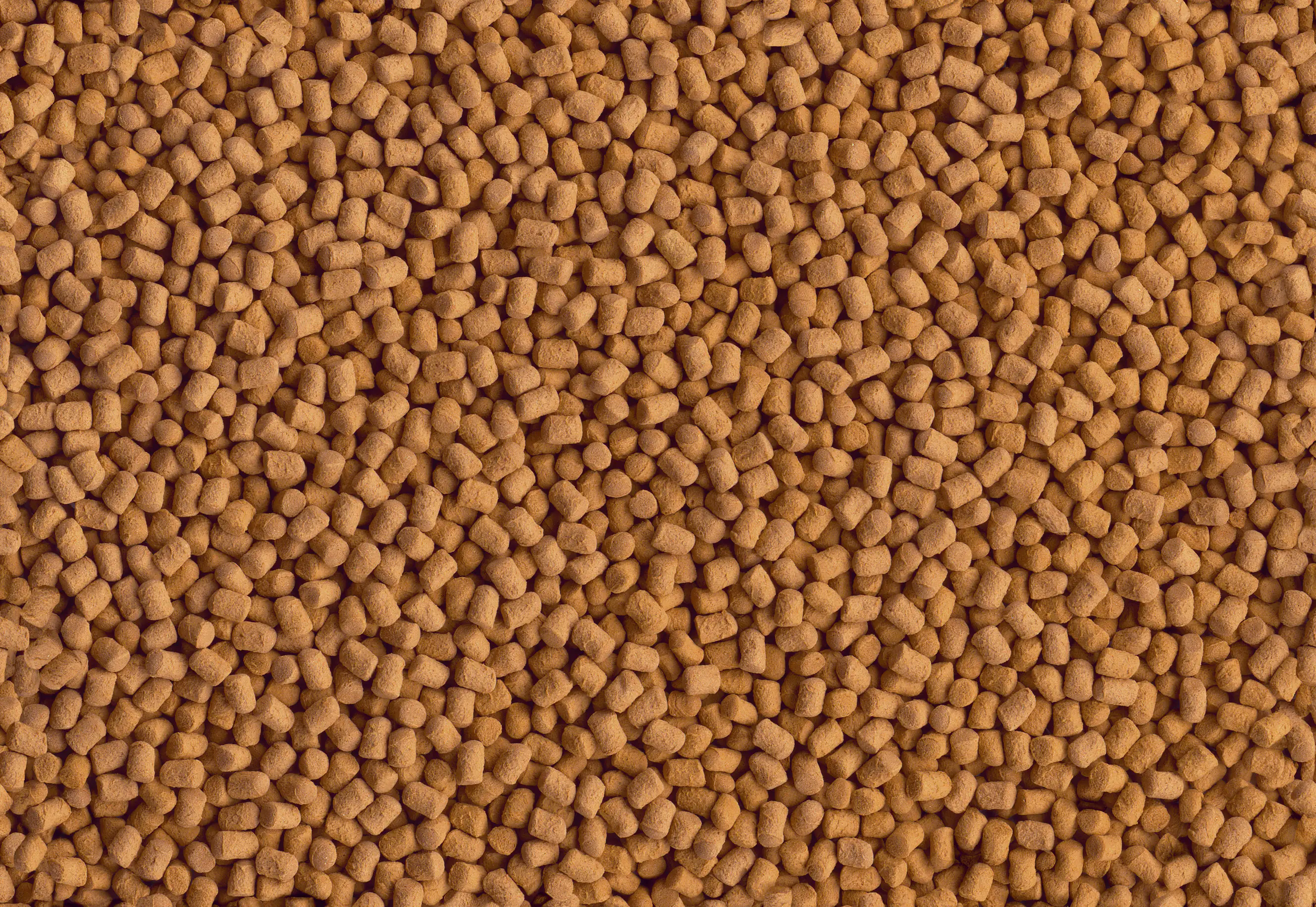 Tetra Cichlid ShrimpSticks 250 ml