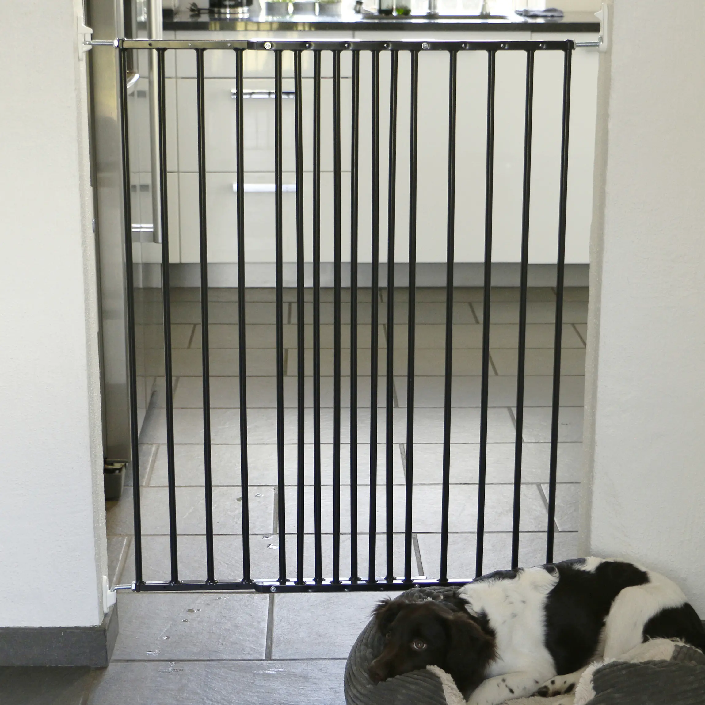 DOLLE Tierschutzgitter einstellbar 62,5 - 106,8 cm, anthrazit